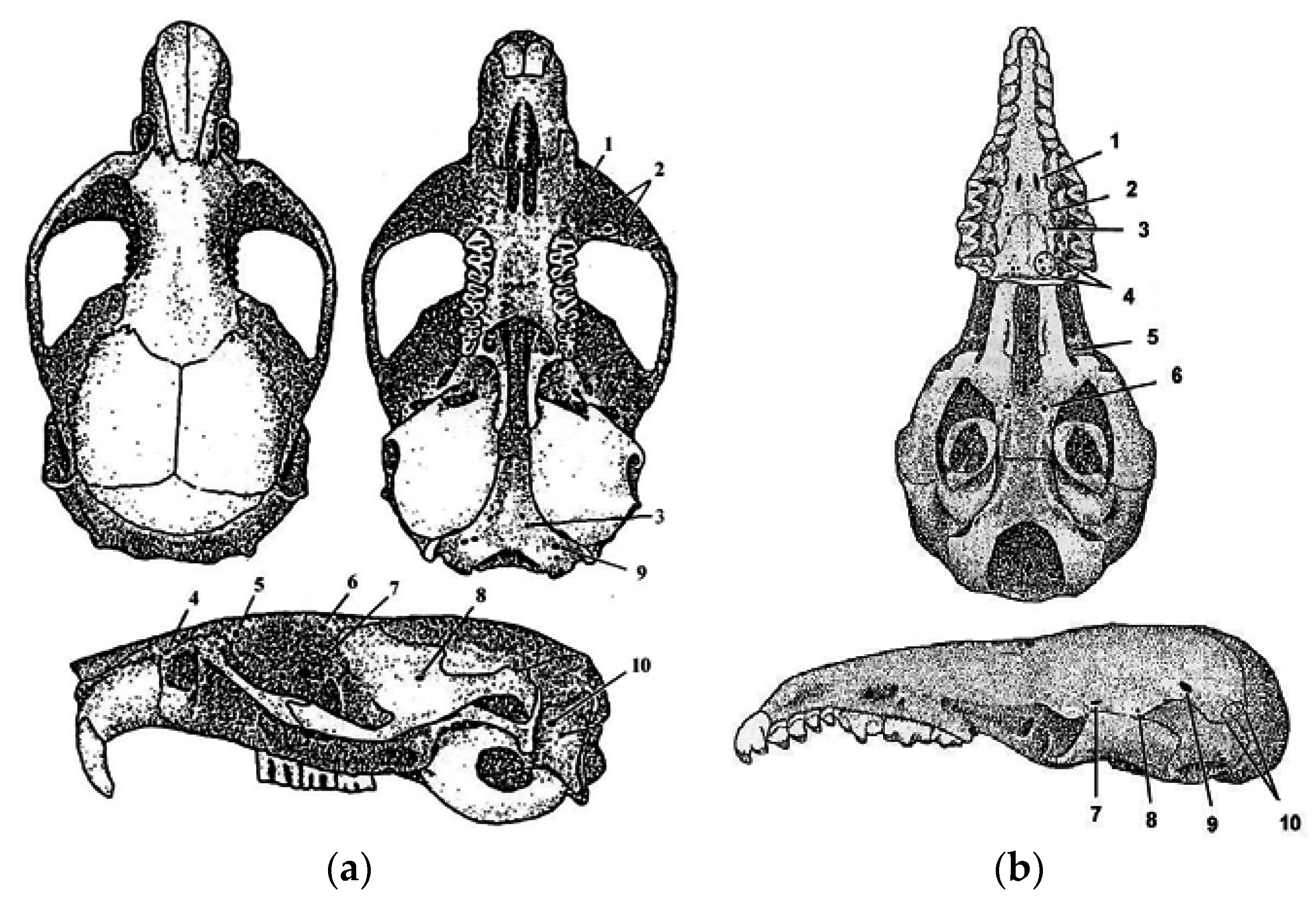 Symmetry 08 00142 g002
