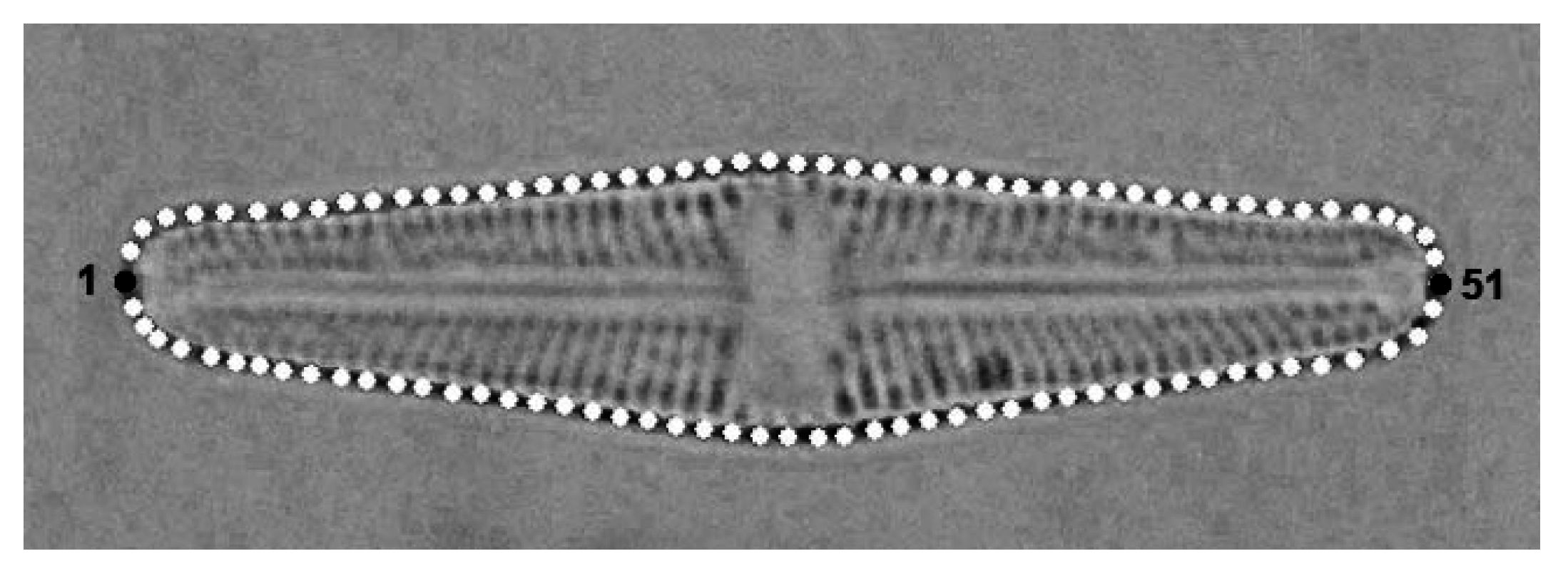 Symmetry 08 00150 g002