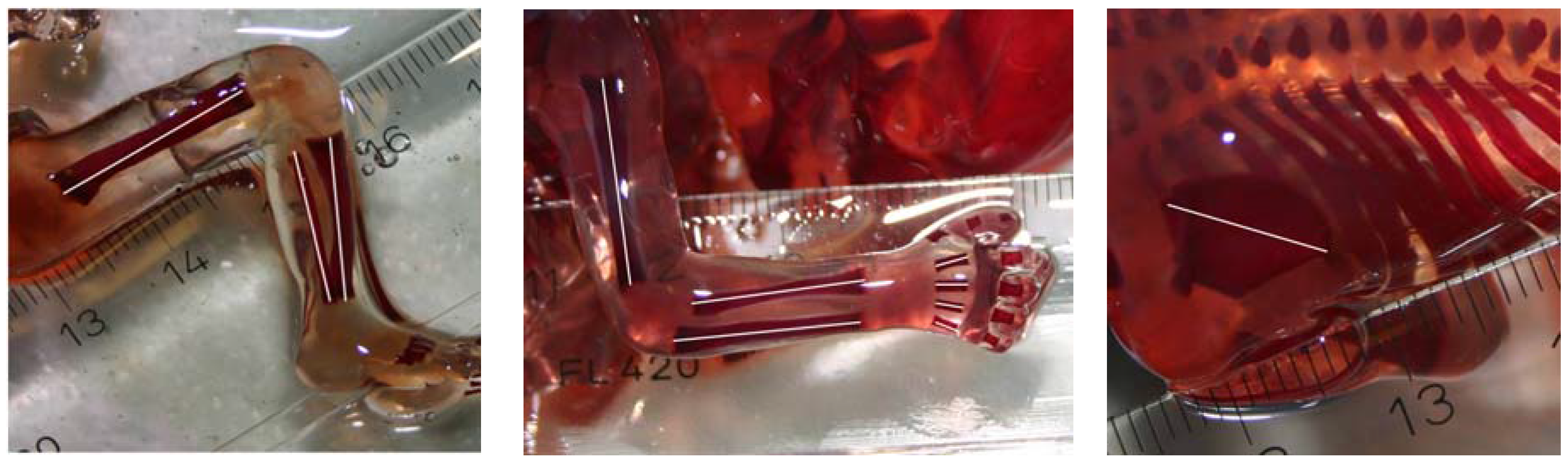 Symmetry 09 00044 g001