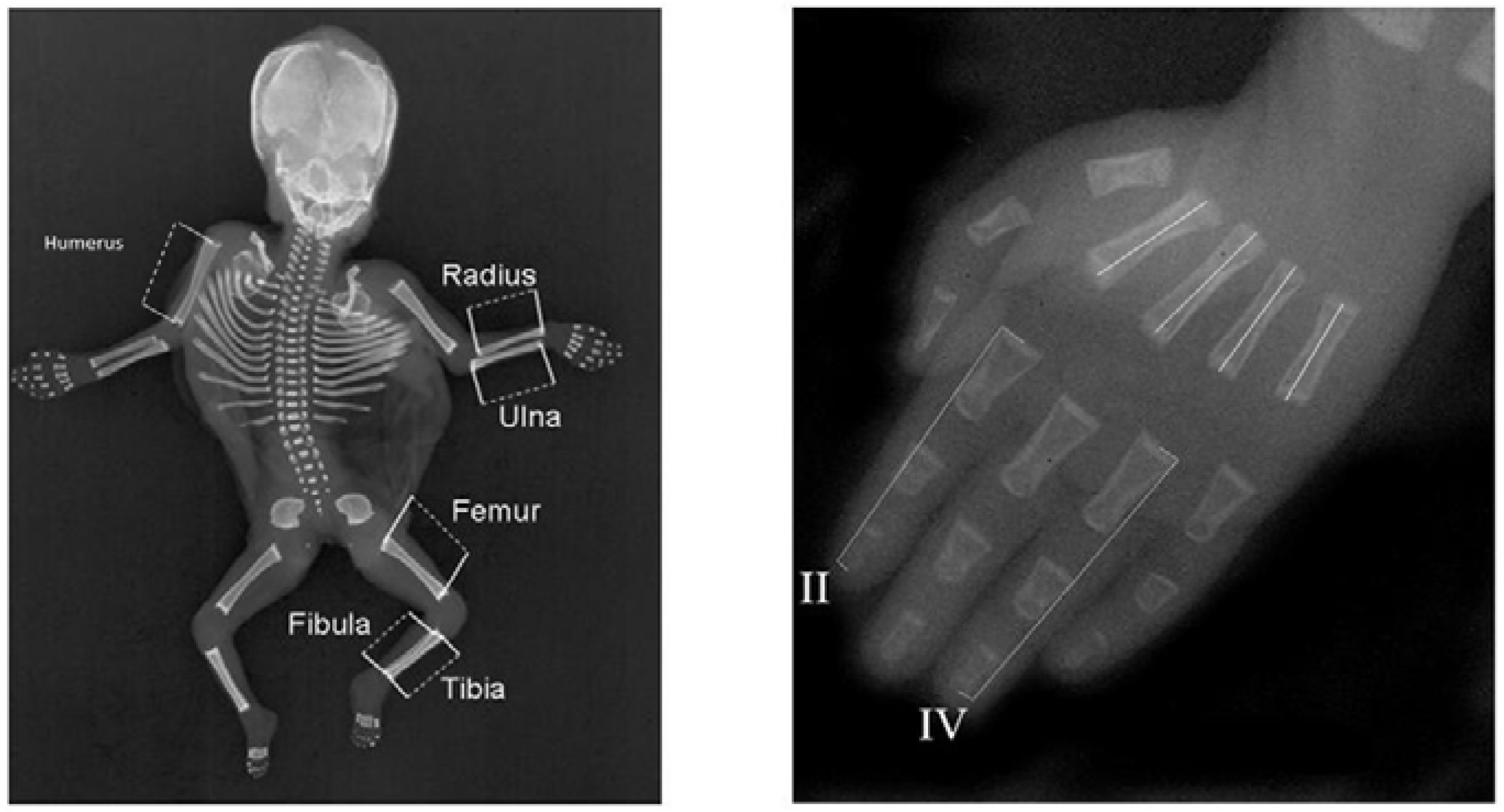 Symmetry 09 00044 g002