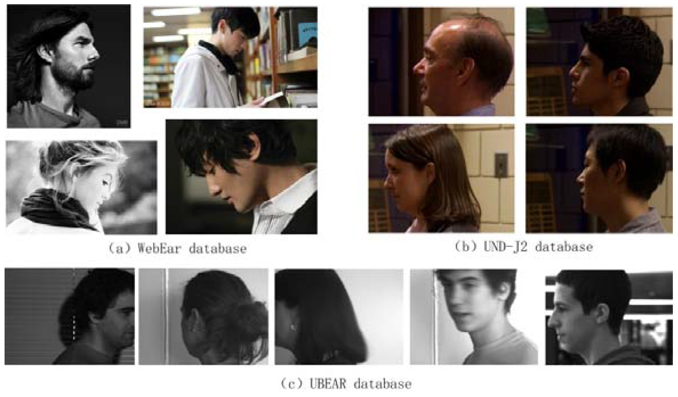 Symmetry 09 00053 g001