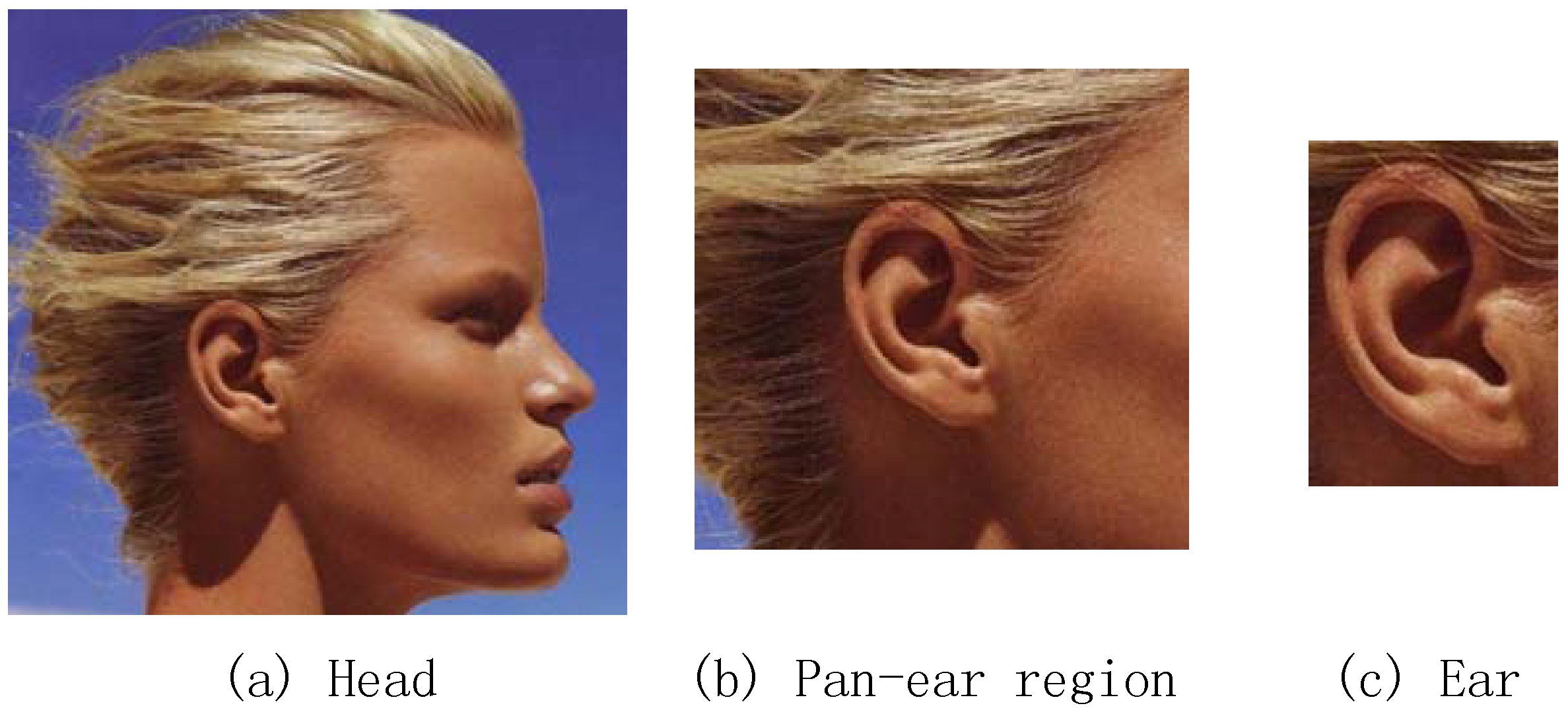 Symmetry 09 00053 g004