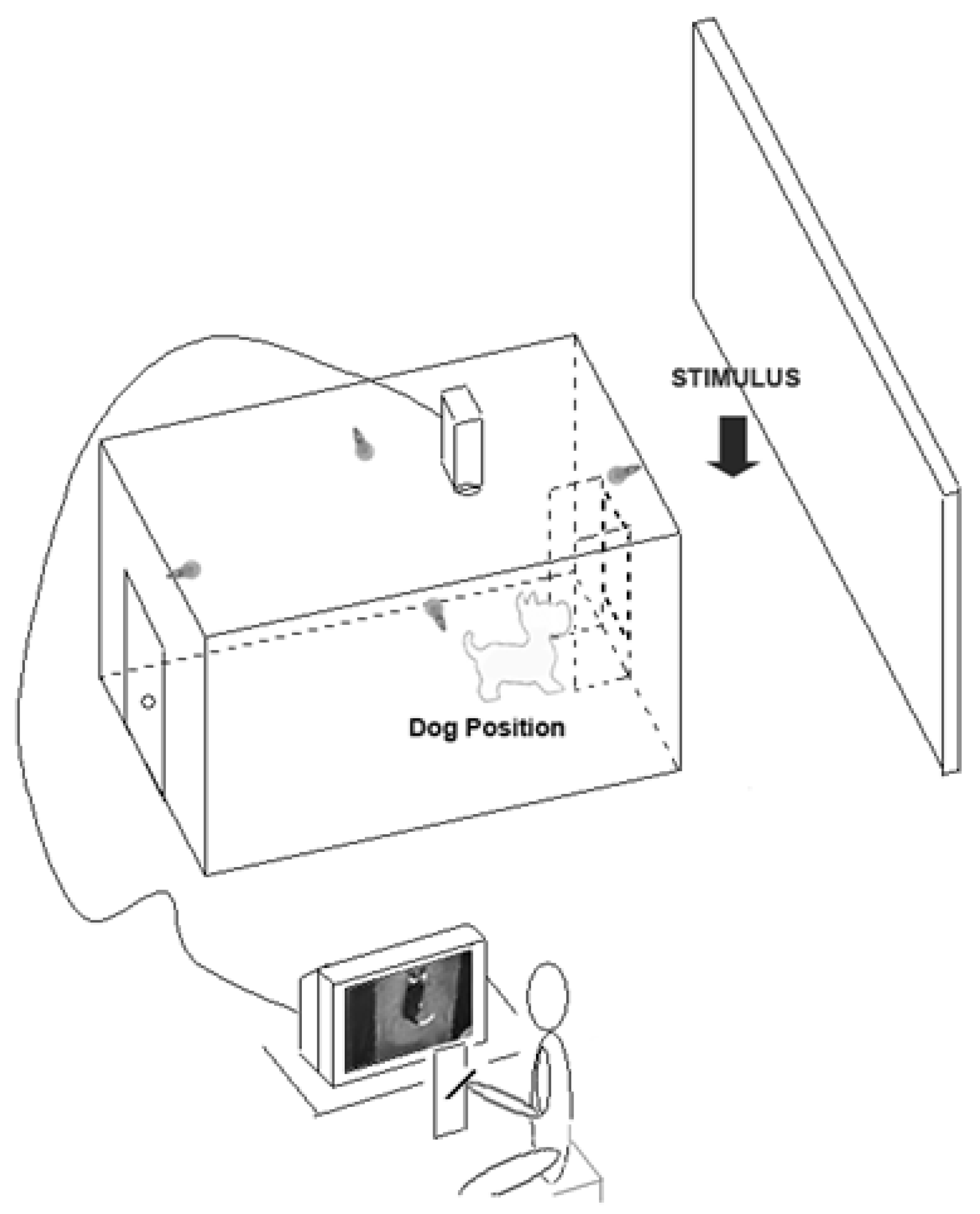 Symmetry 09 00071 g003