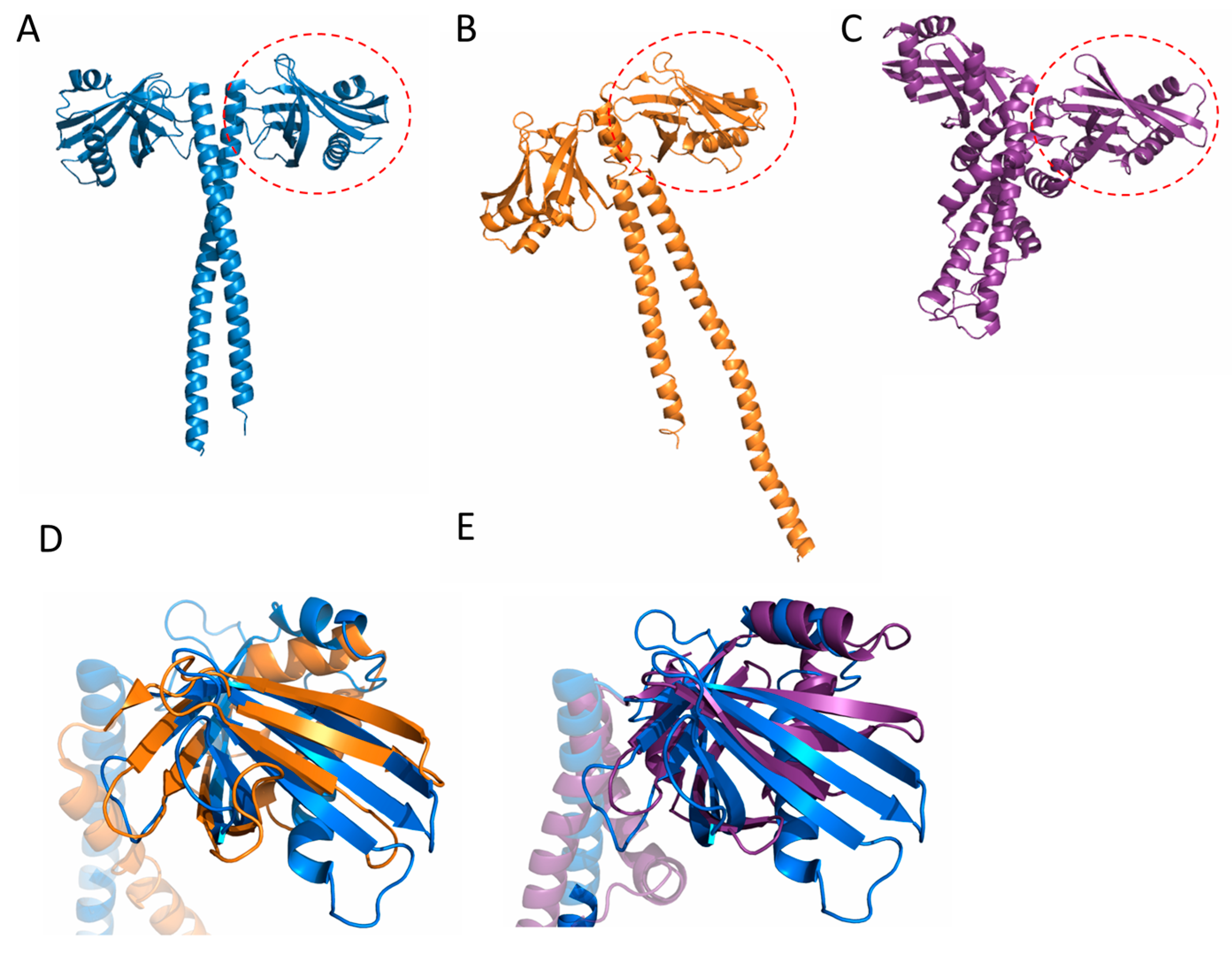 Symmetry 09 00074 g002