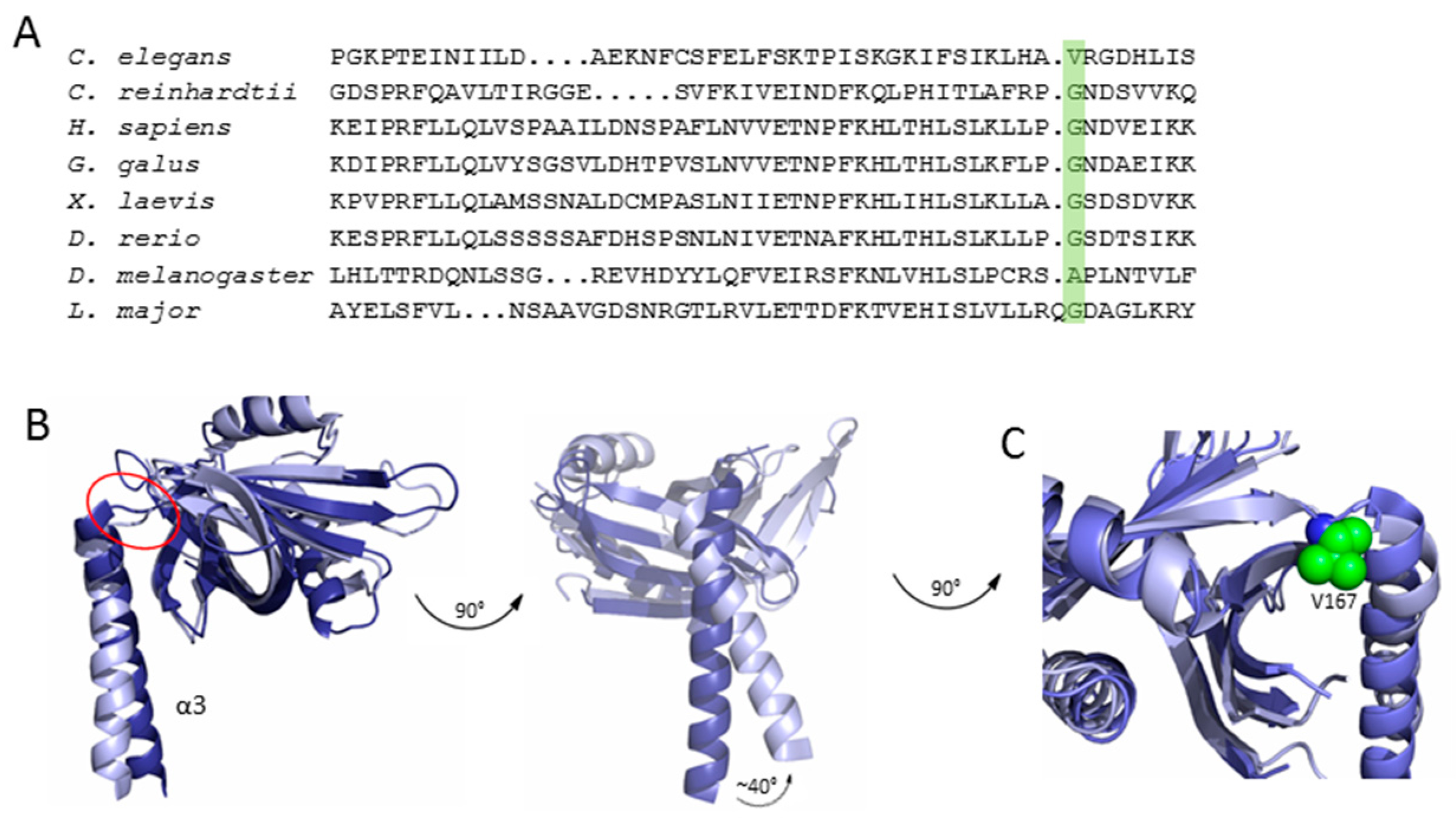 Symmetry 09 00074 g005