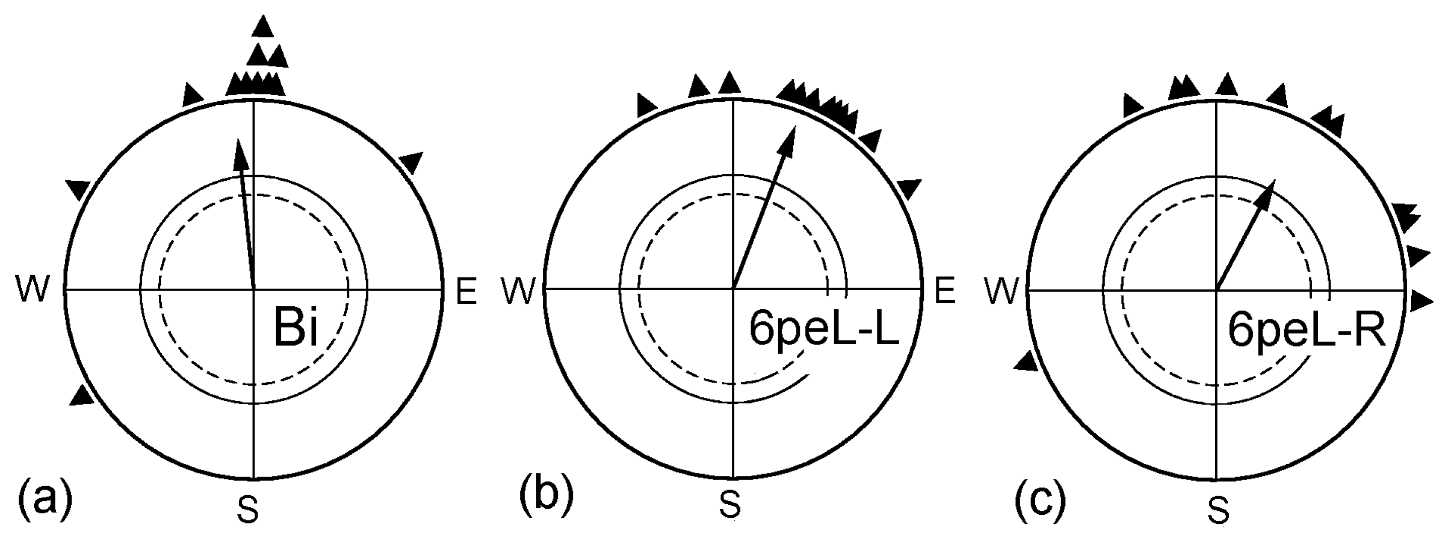 Symmetry 09 00077 g001