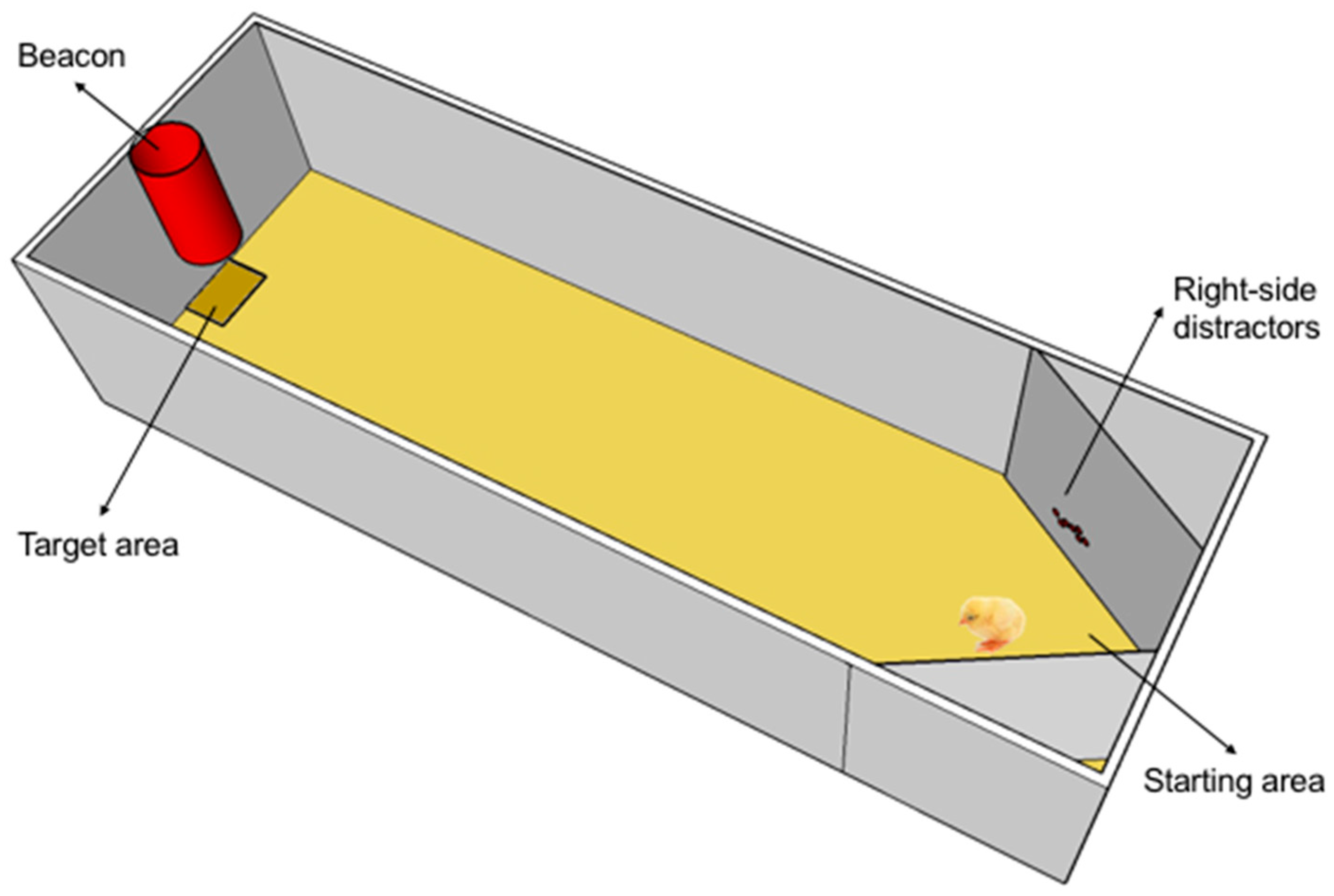 Symmetry 09 00084 g001