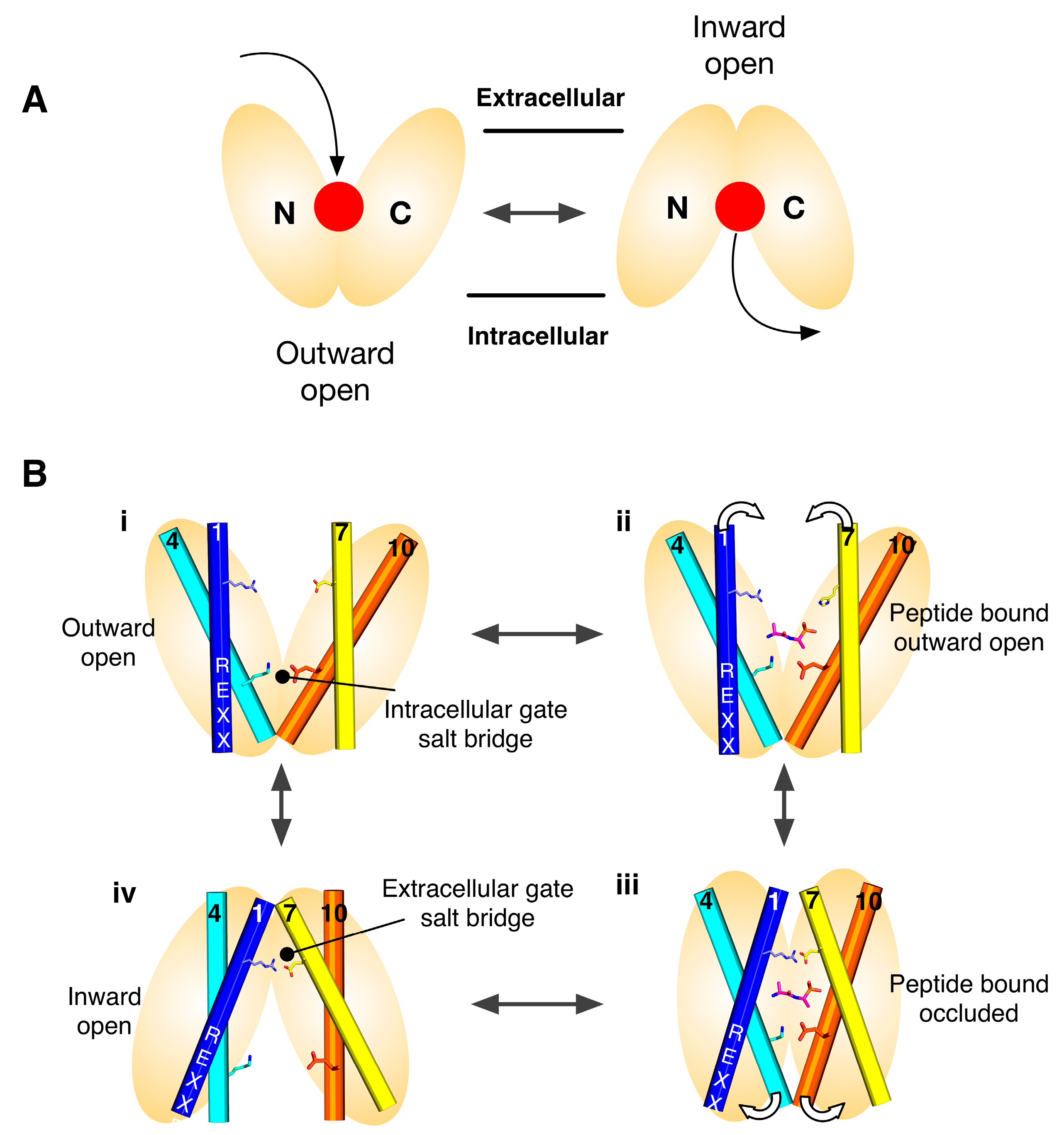 Symmetry 09 00085 g001