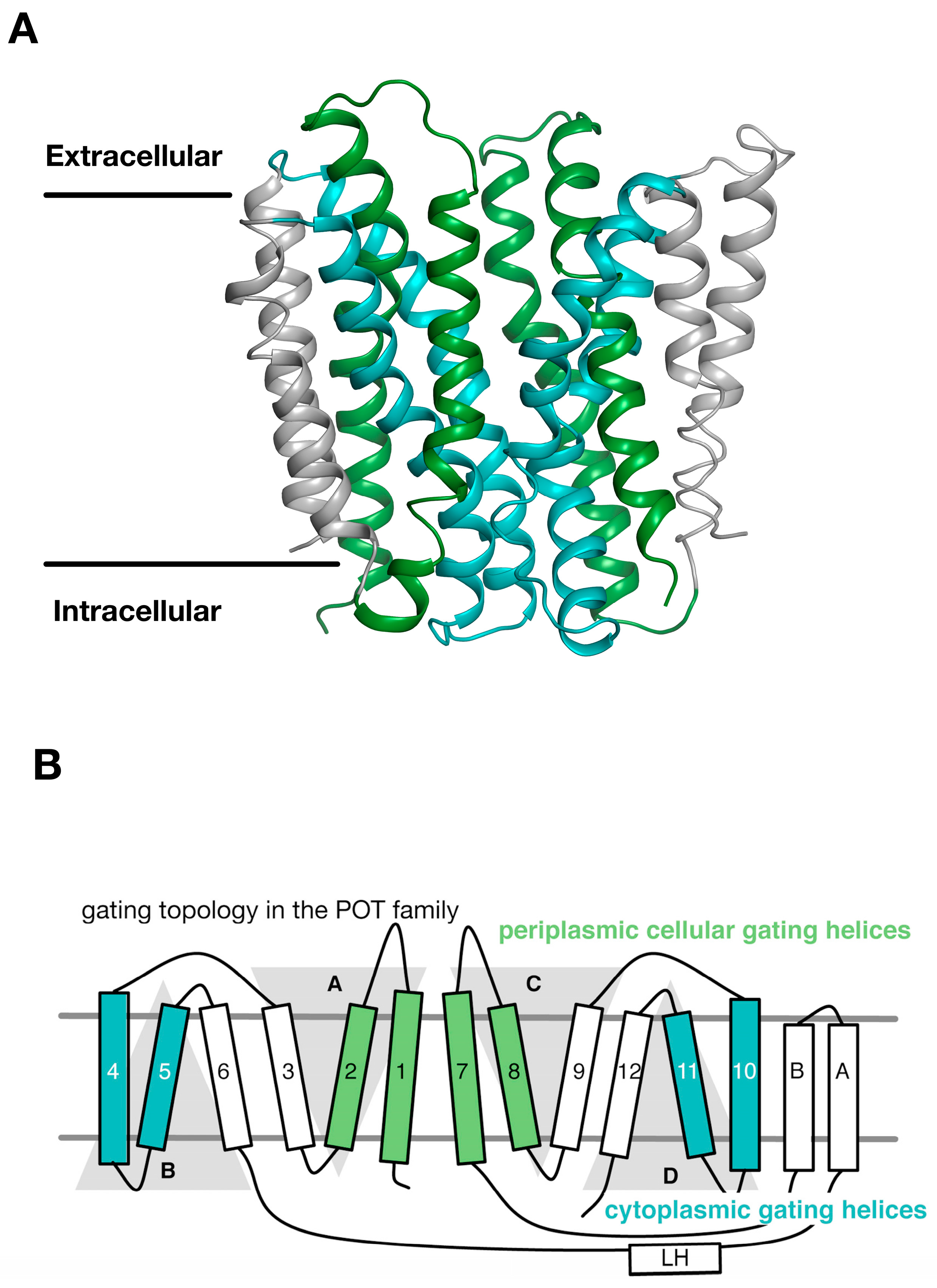 Symmetry 09 00085 g003