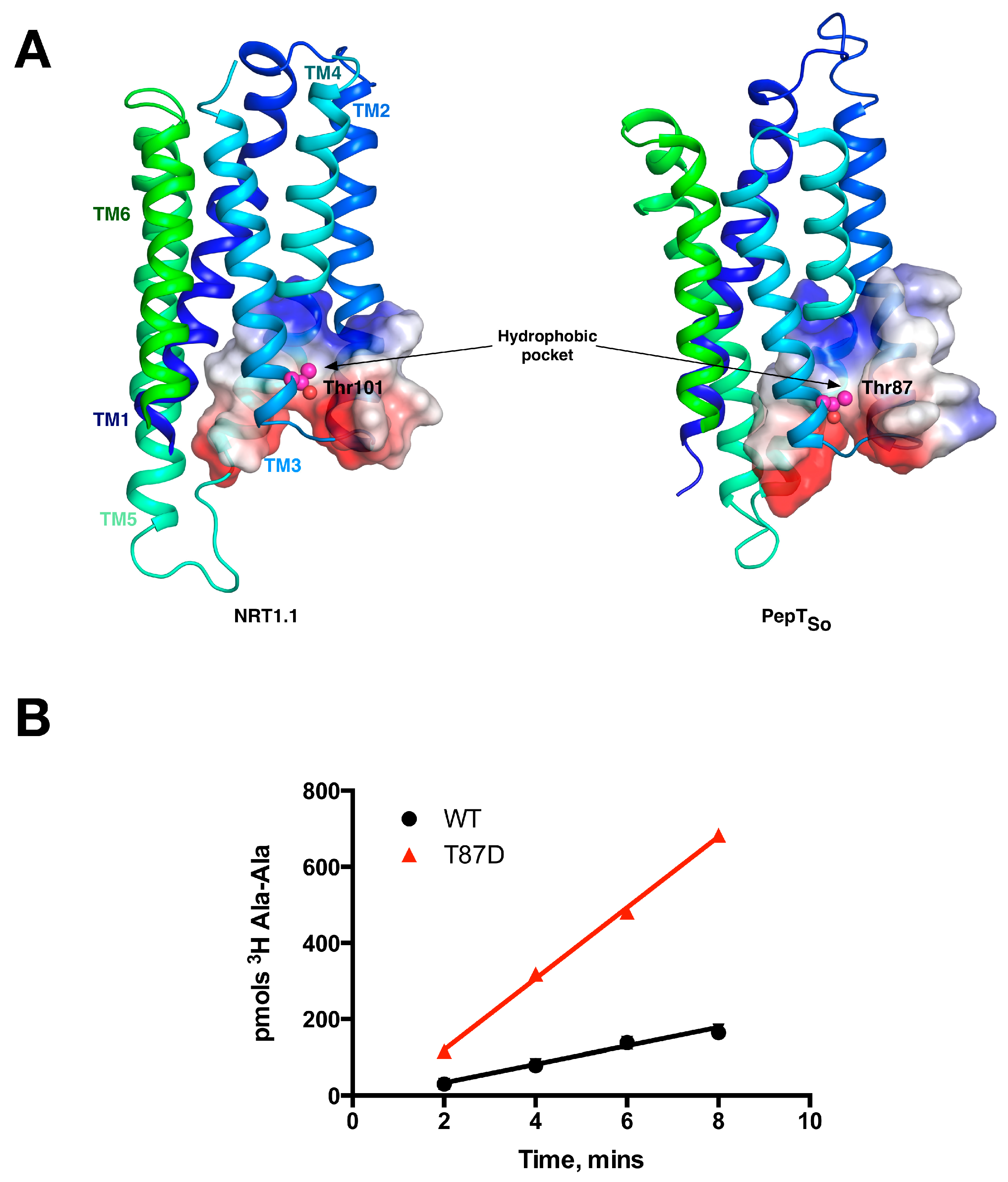 Symmetry 09 00085 g005