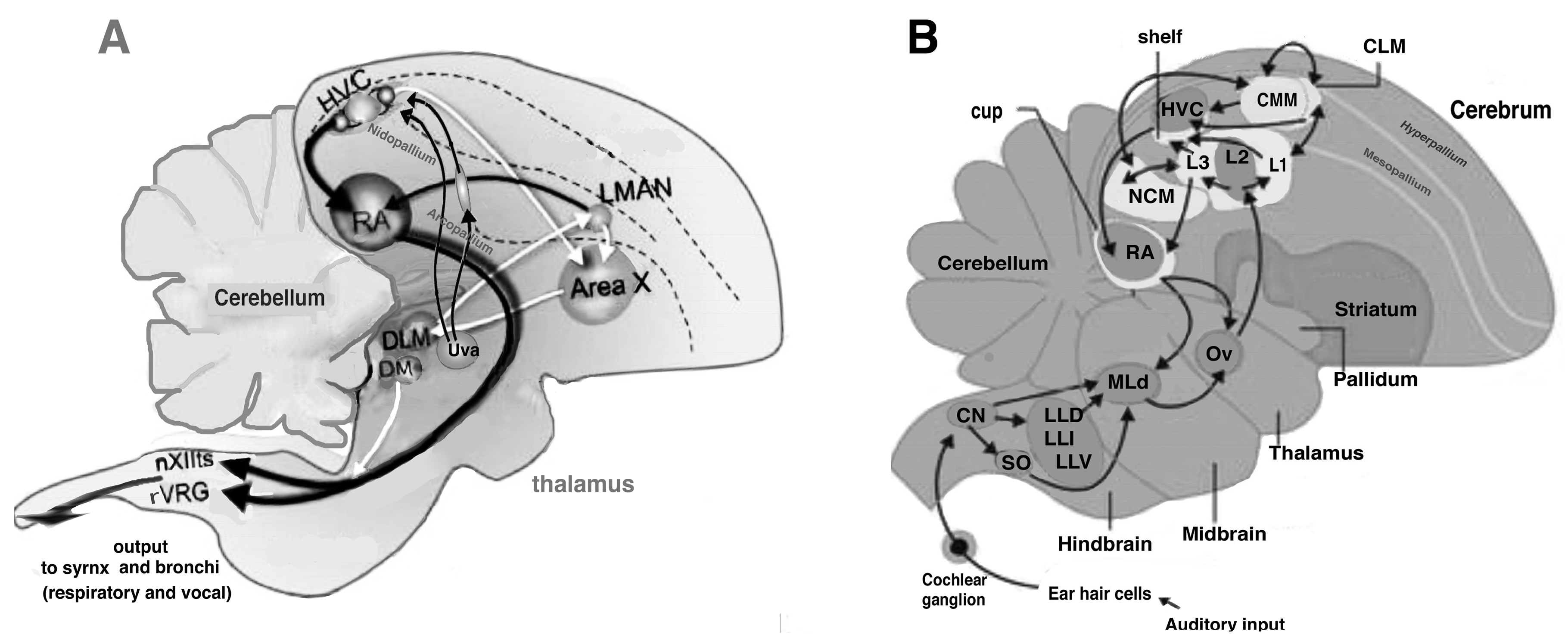 Symmetry 09 00099 g001