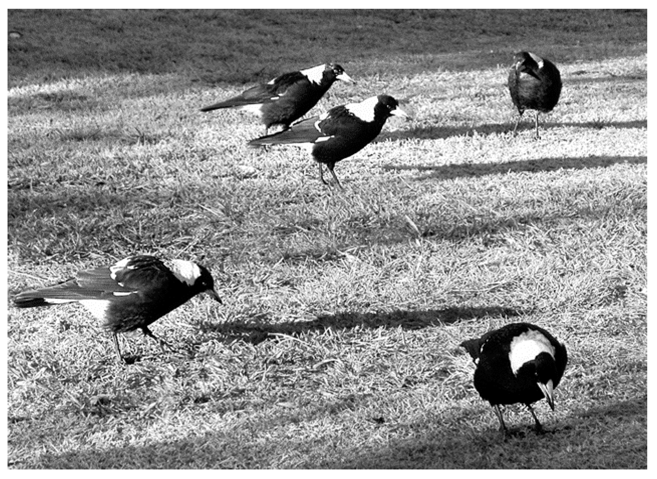 Symmetry 09 00099 g006