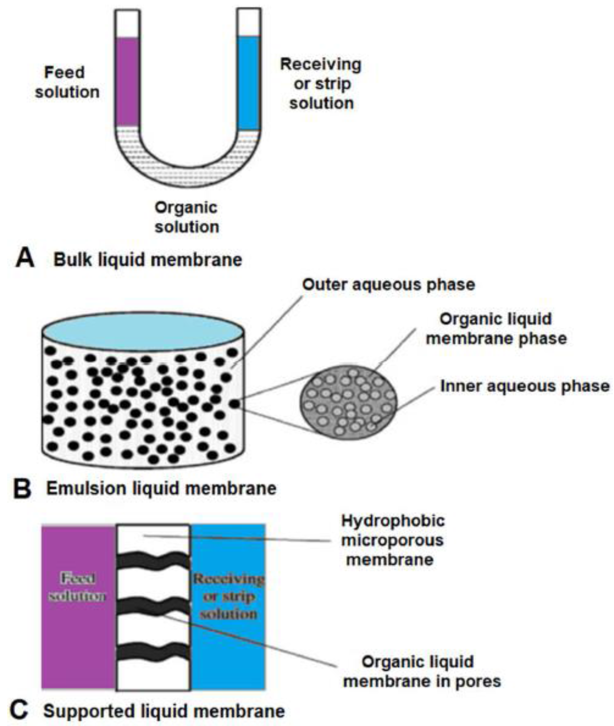 Symmetry 09 00206 g001
