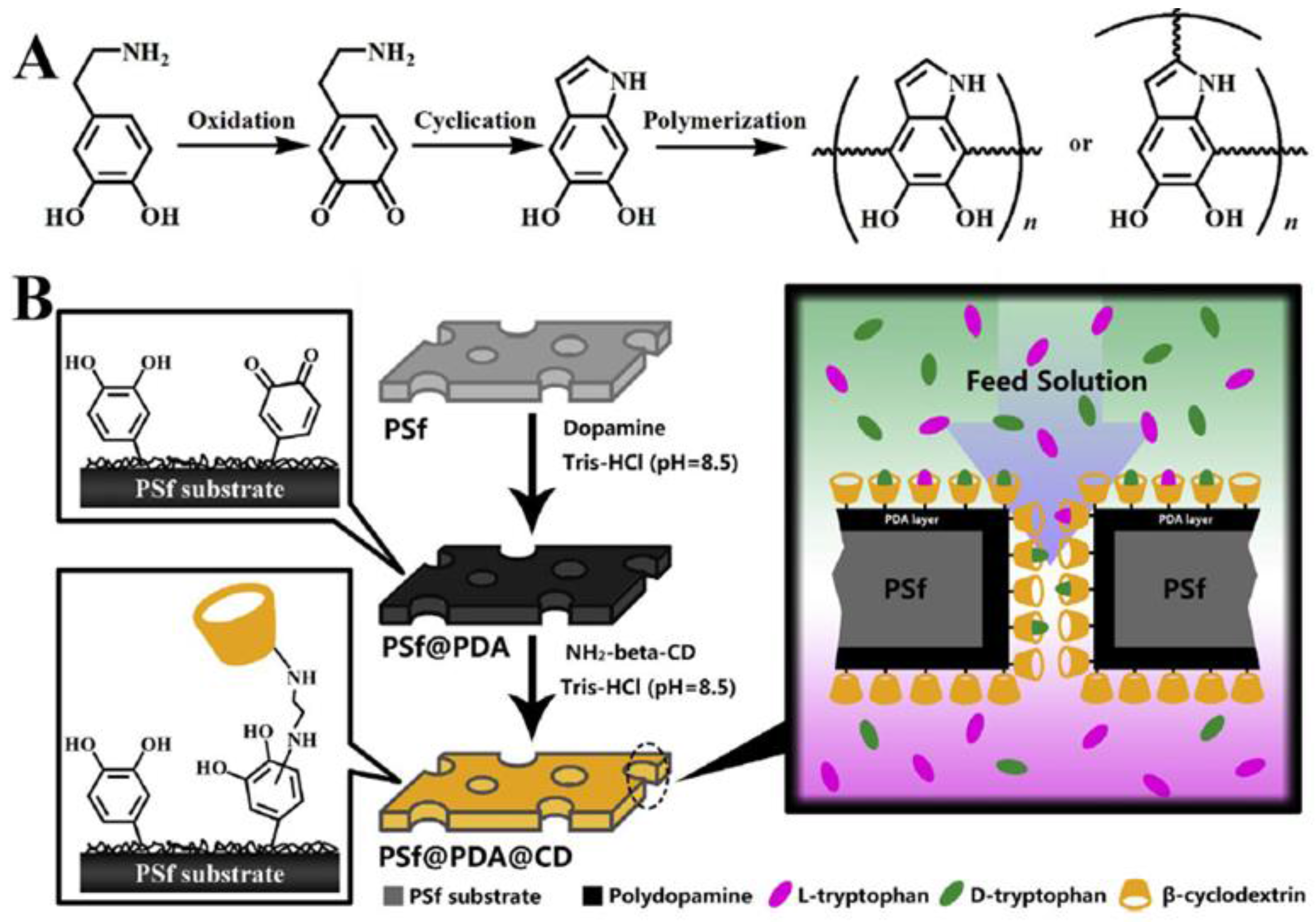 Symmetry 09 00206 g003