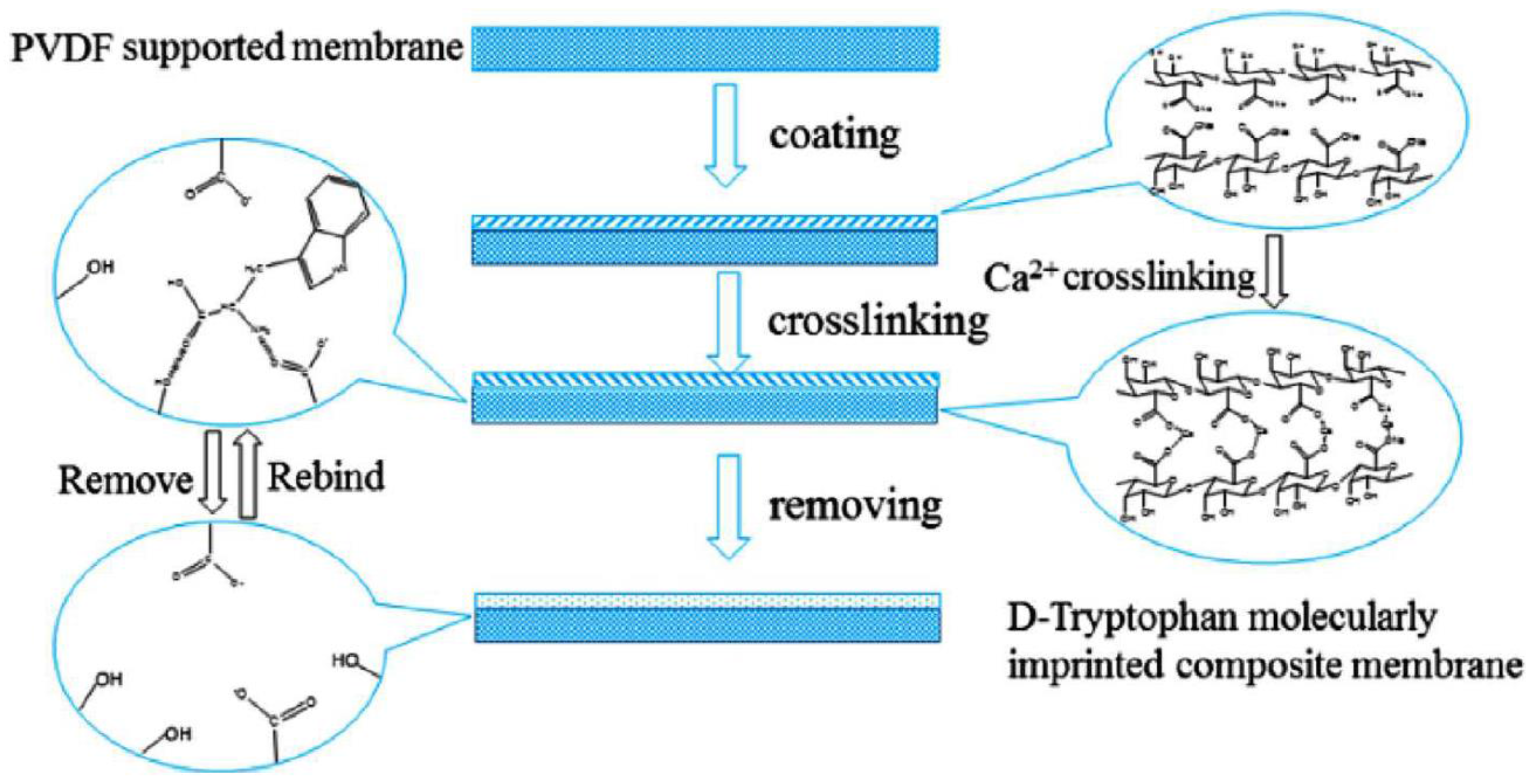 Symmetry 09 00206 g004