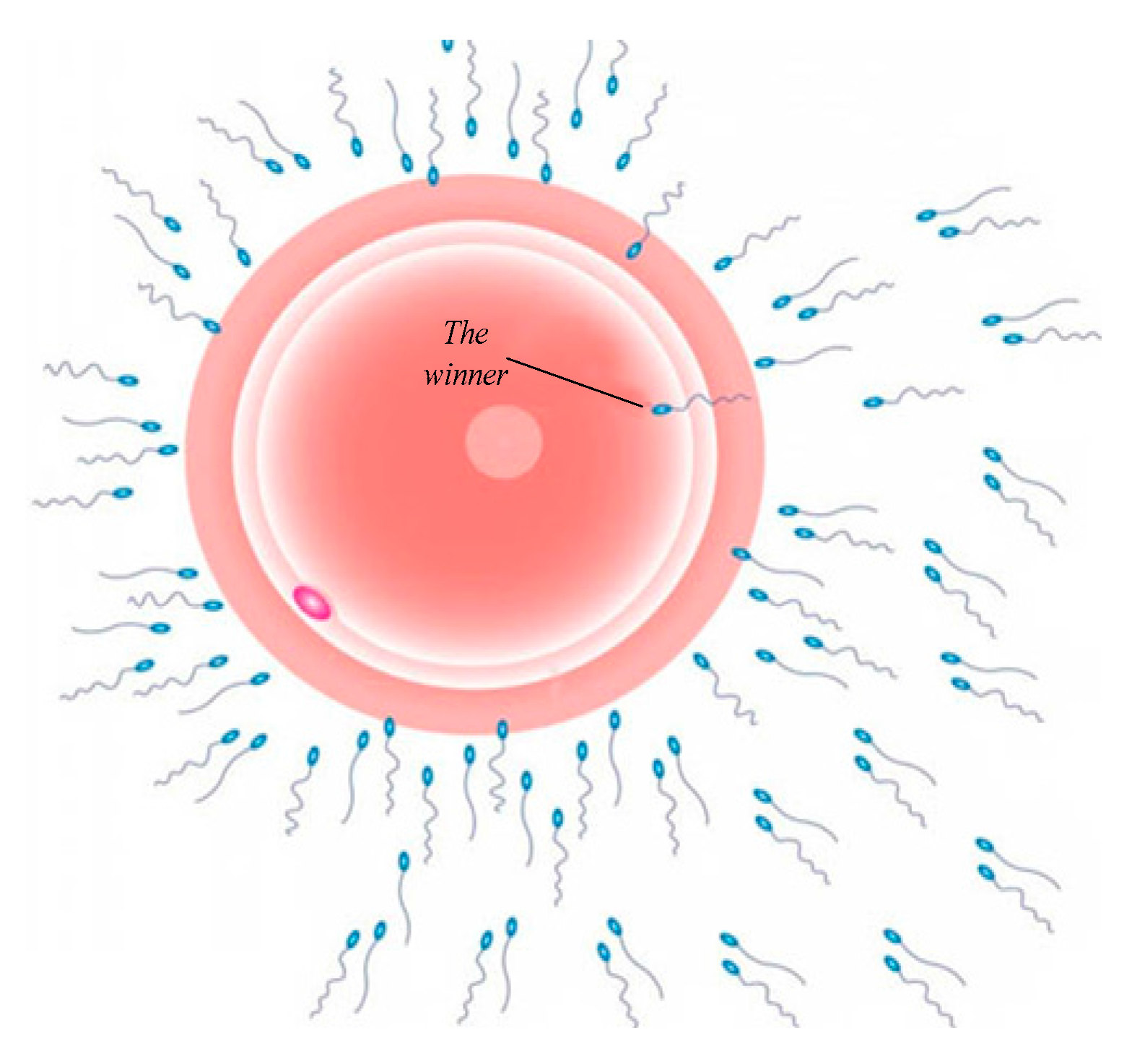 Symmetry 09 00241 g001