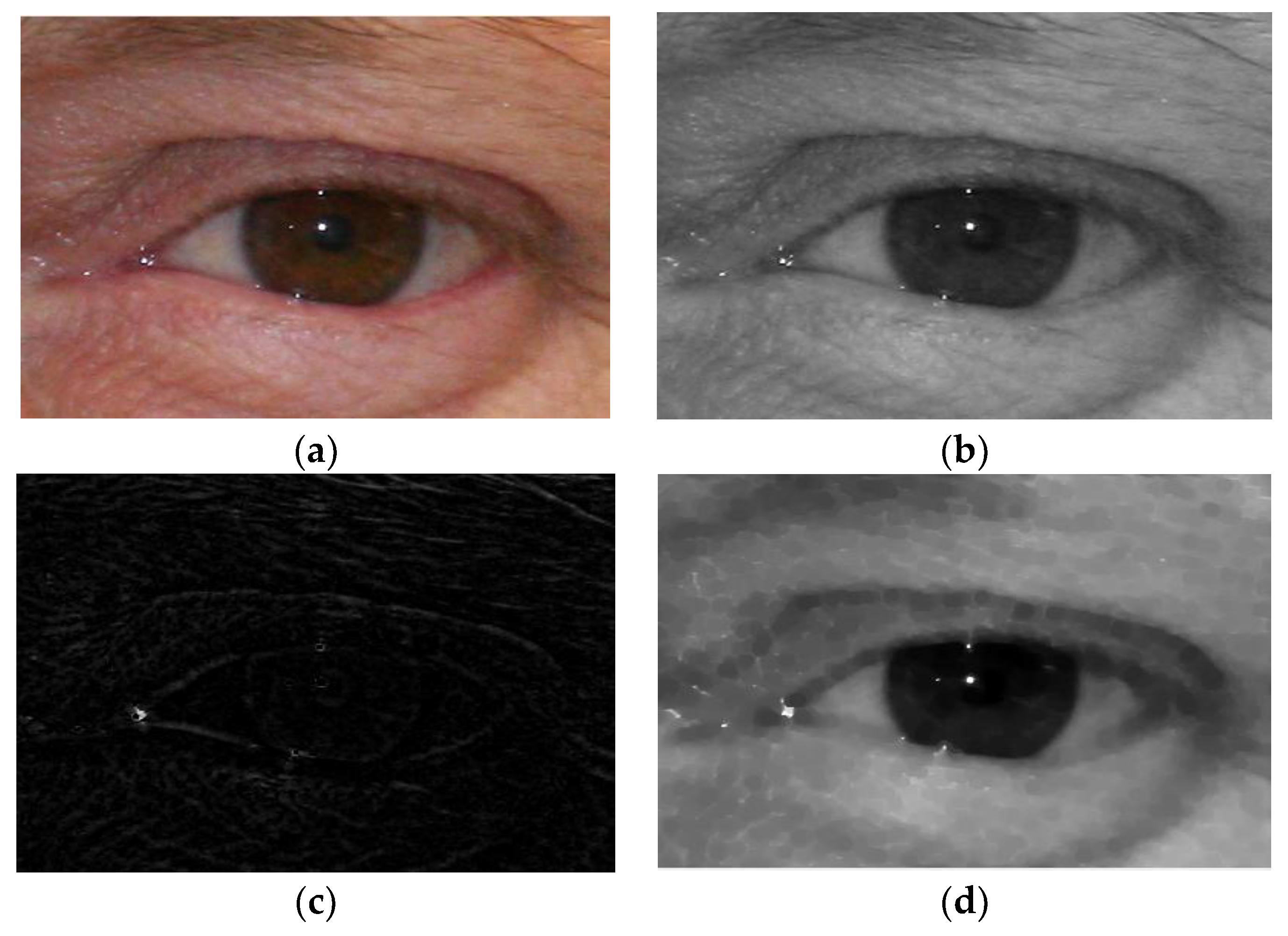 Symmetry 09 00263 g003