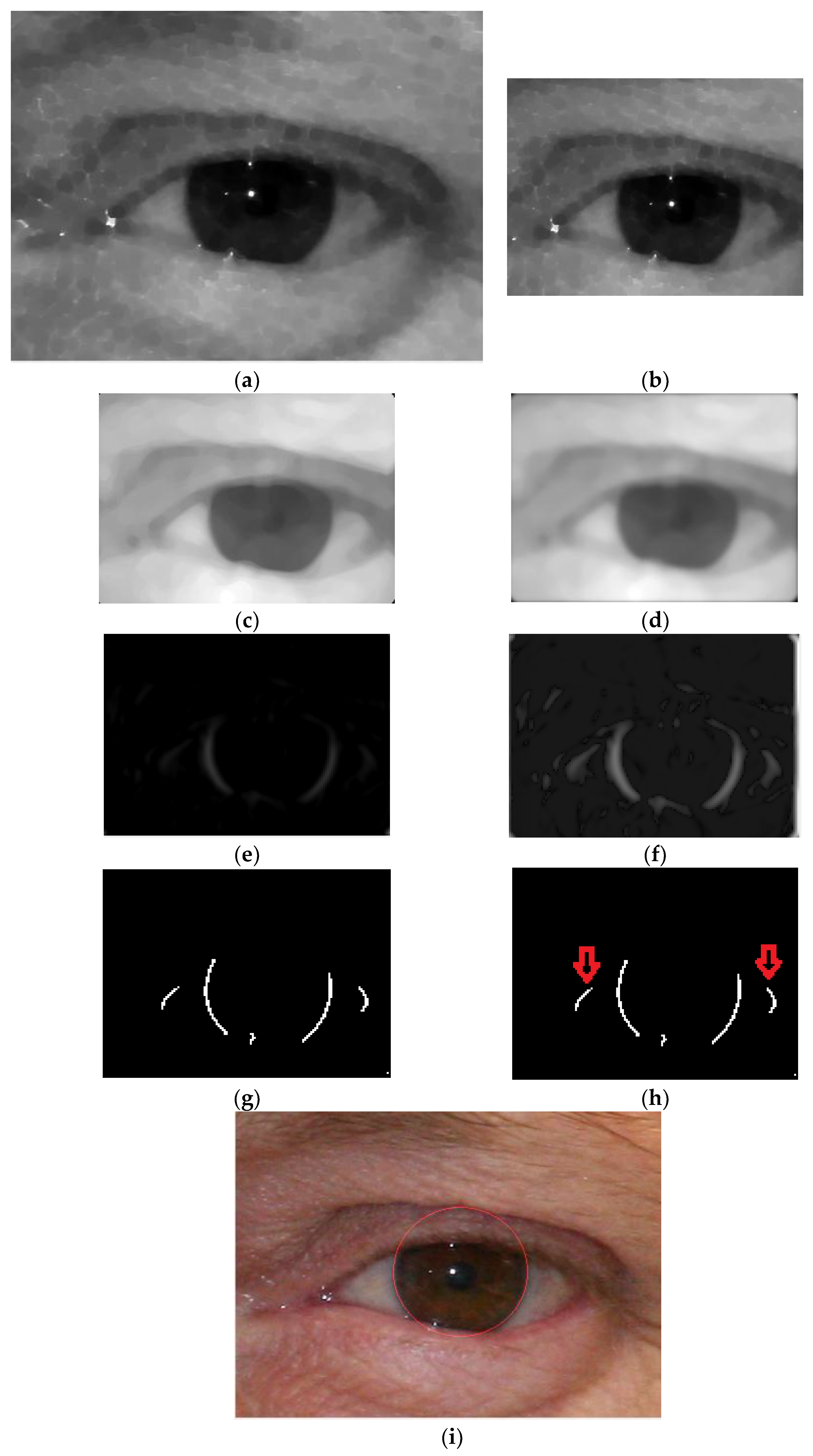 Symmetry 09 00263 g005