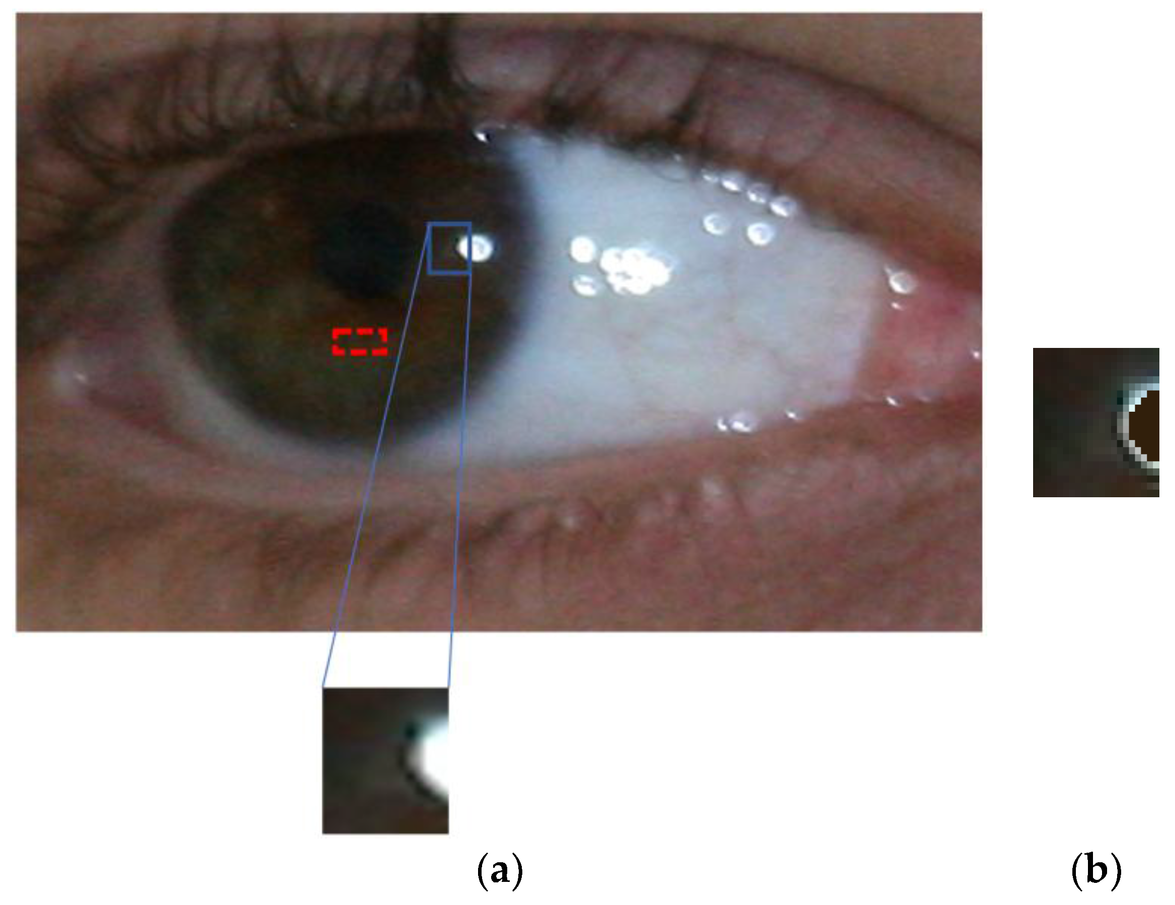 Symmetry 09 00263 g008