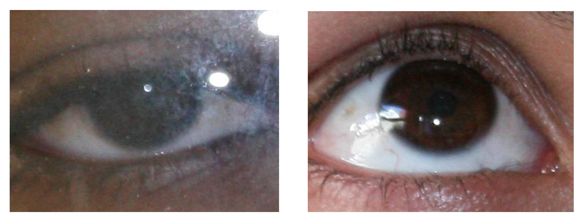 Symmetry 09 00263 g010a