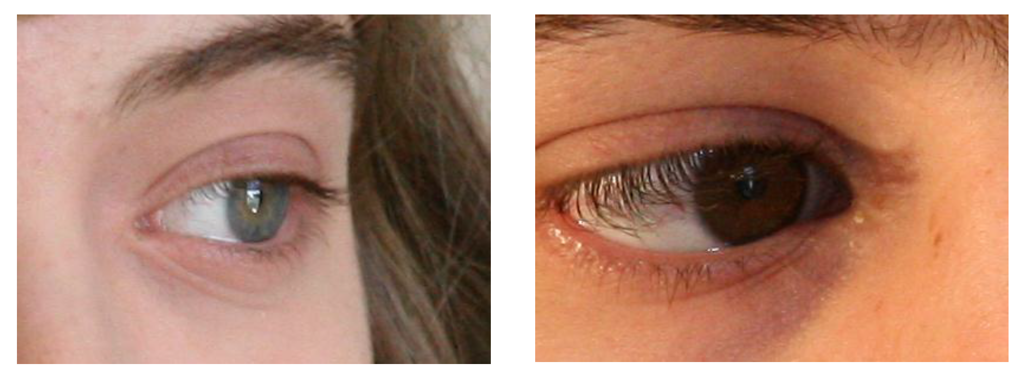 Symmetry 09 00263 g010b