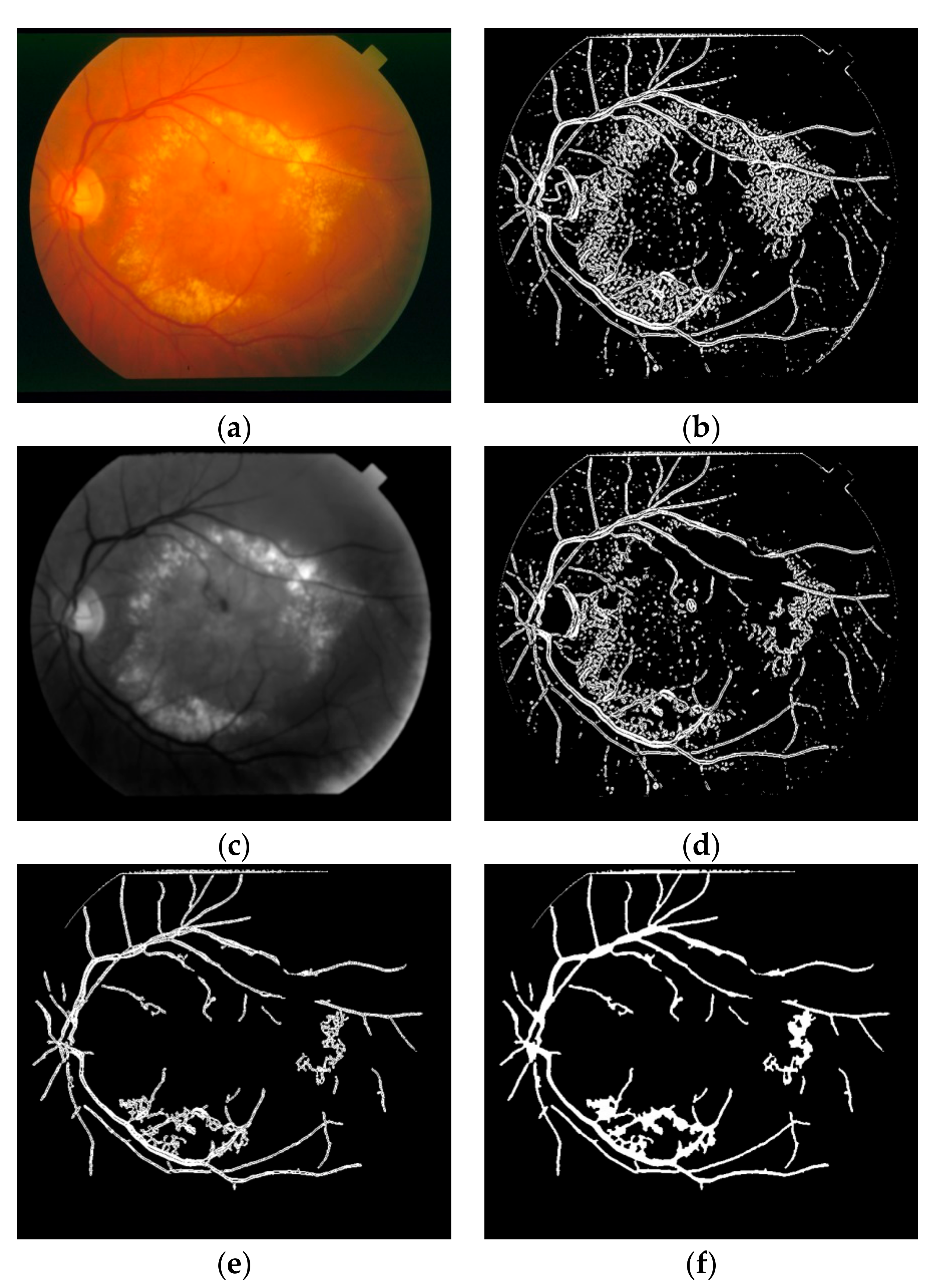 Symmetry 09 00276 g006 Symmetry 09 00276 g006