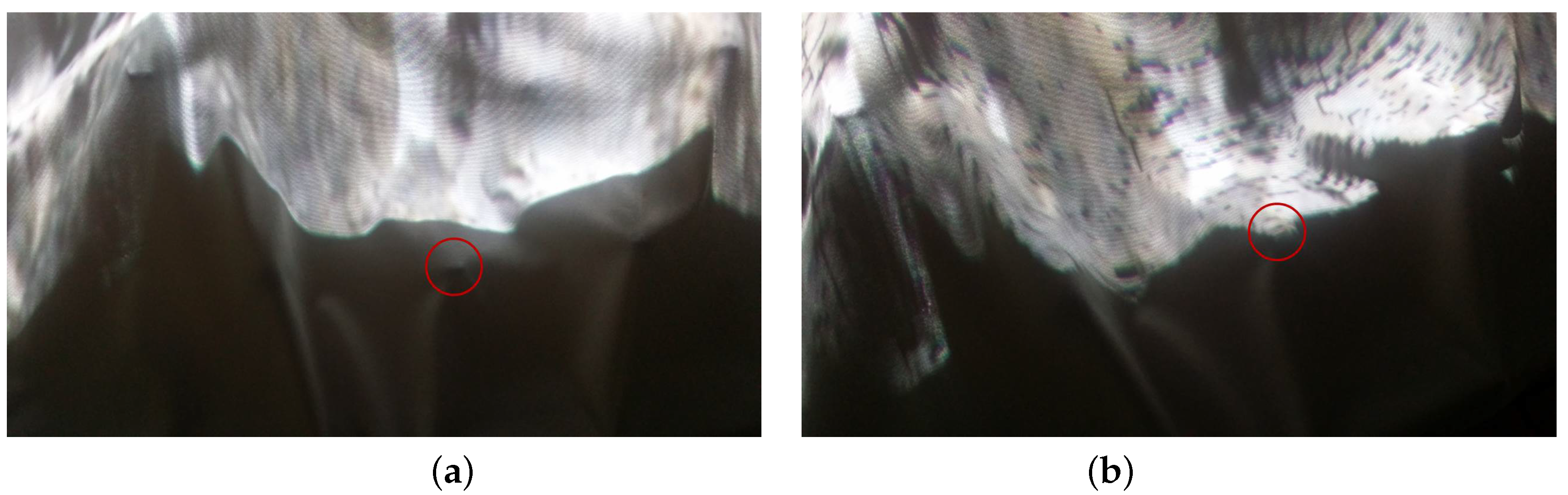 Symmetry 09 00316 g008