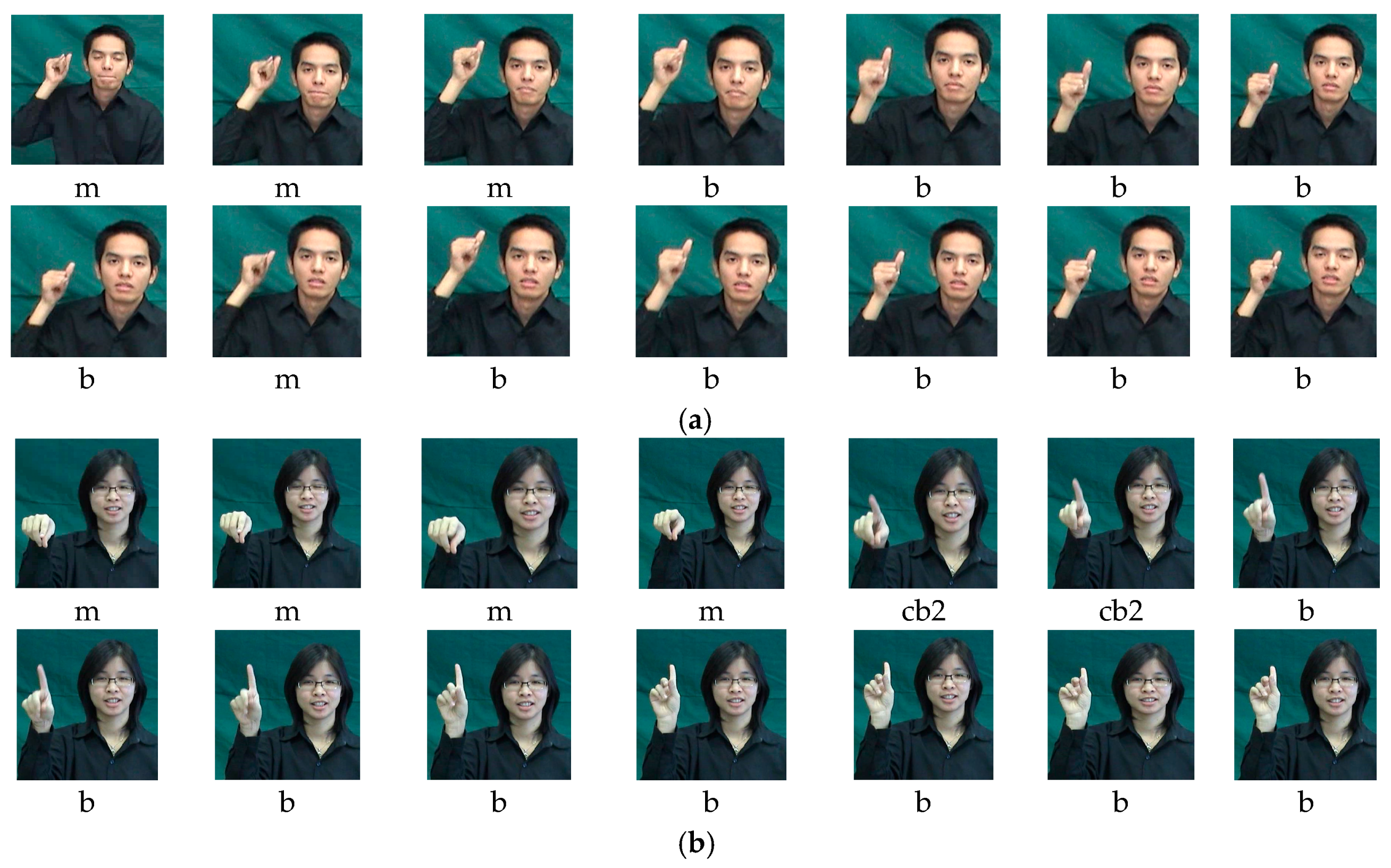 Symmetry 09 00321 g013
