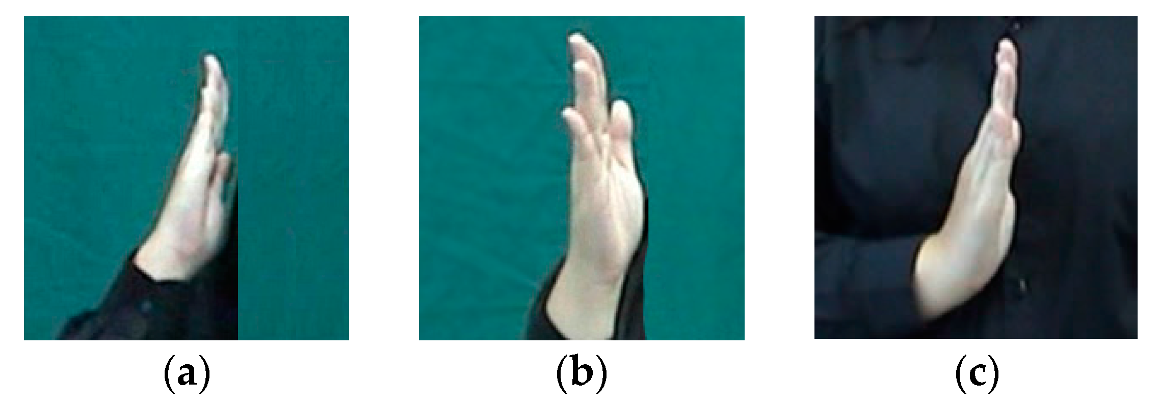 Symmetry 09 00321 g015