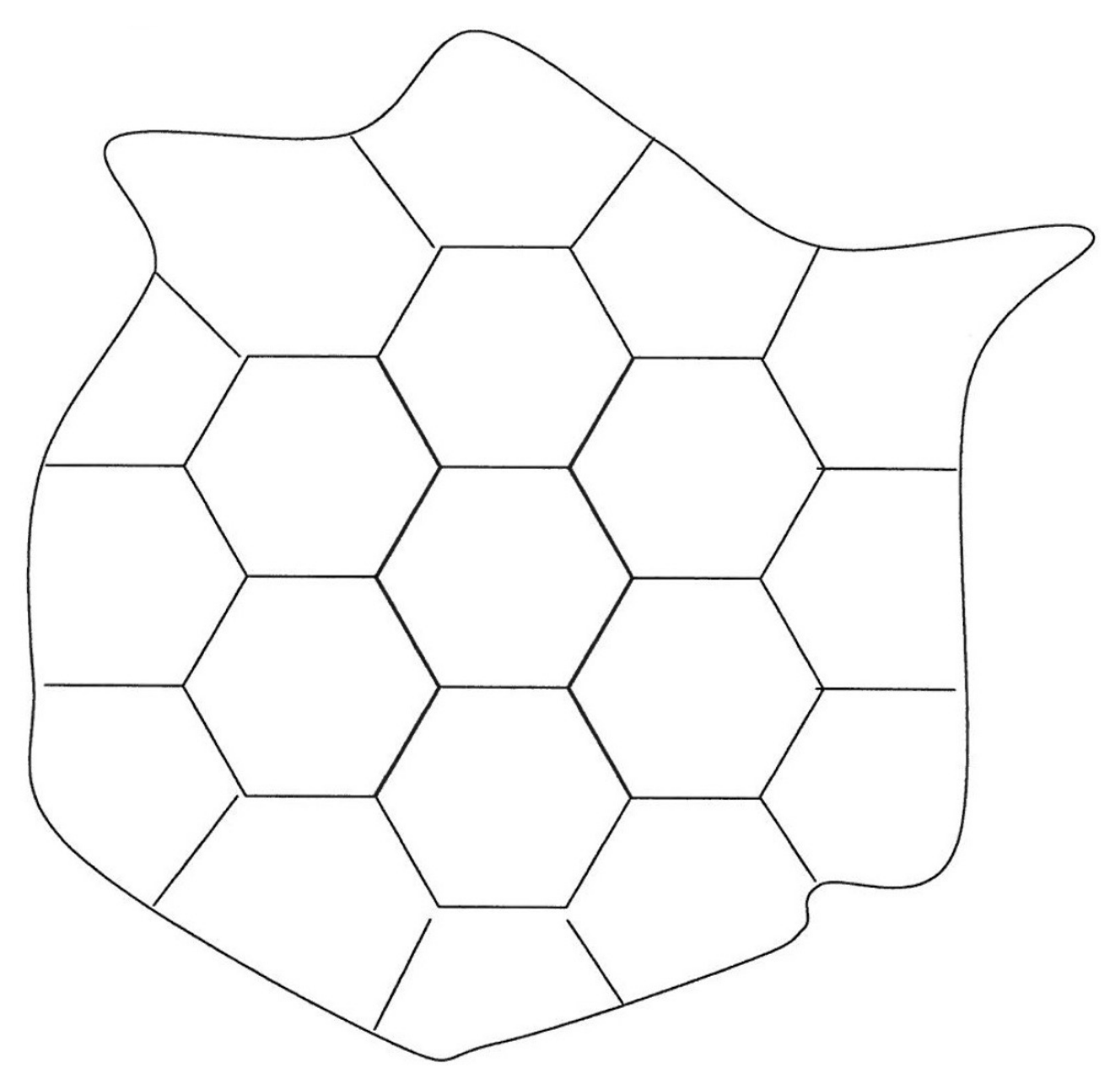 Symmetry 10 00121 g005