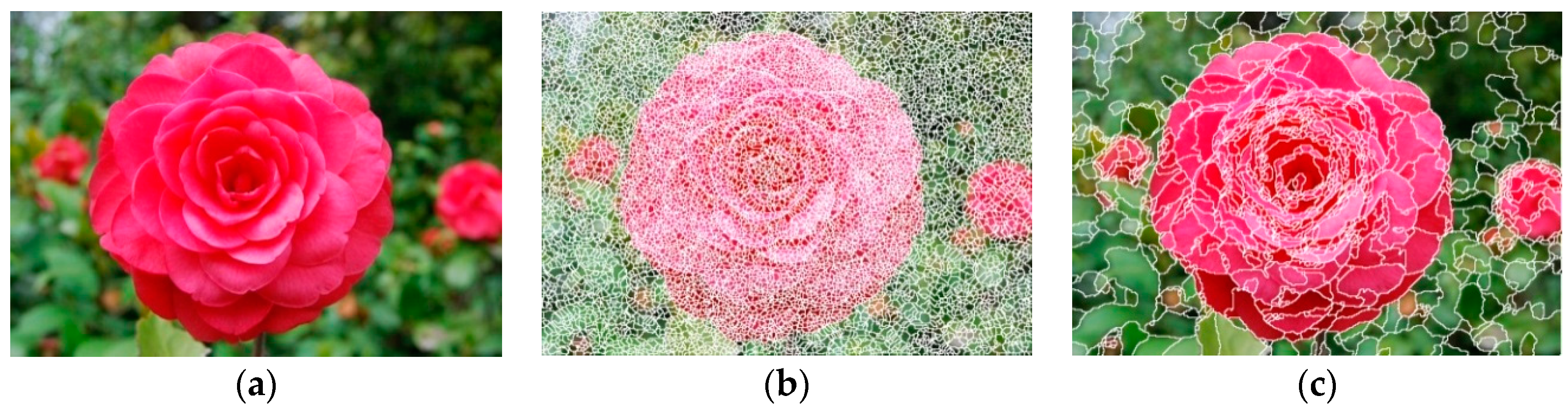 Symmetry 10 00169 g002