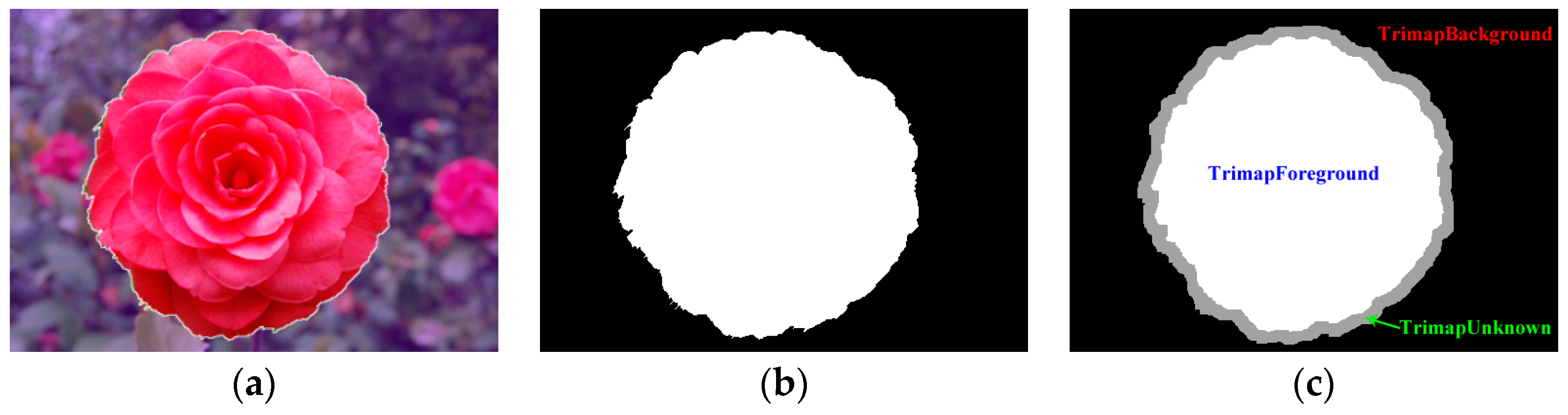 Symmetry 10 00169 g003