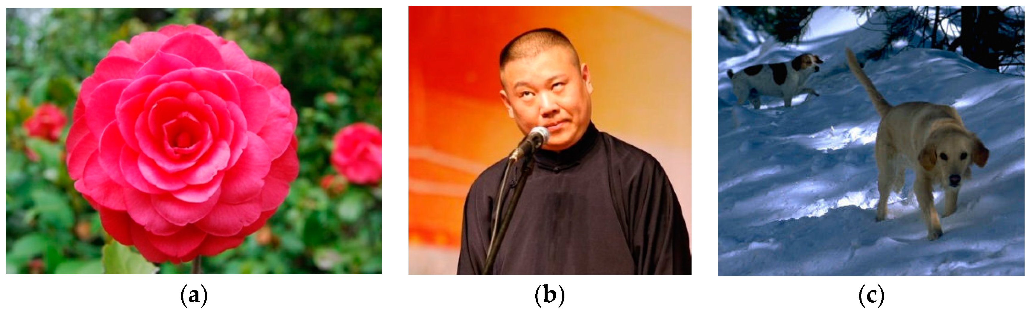 Symmetry 10 00169 g004