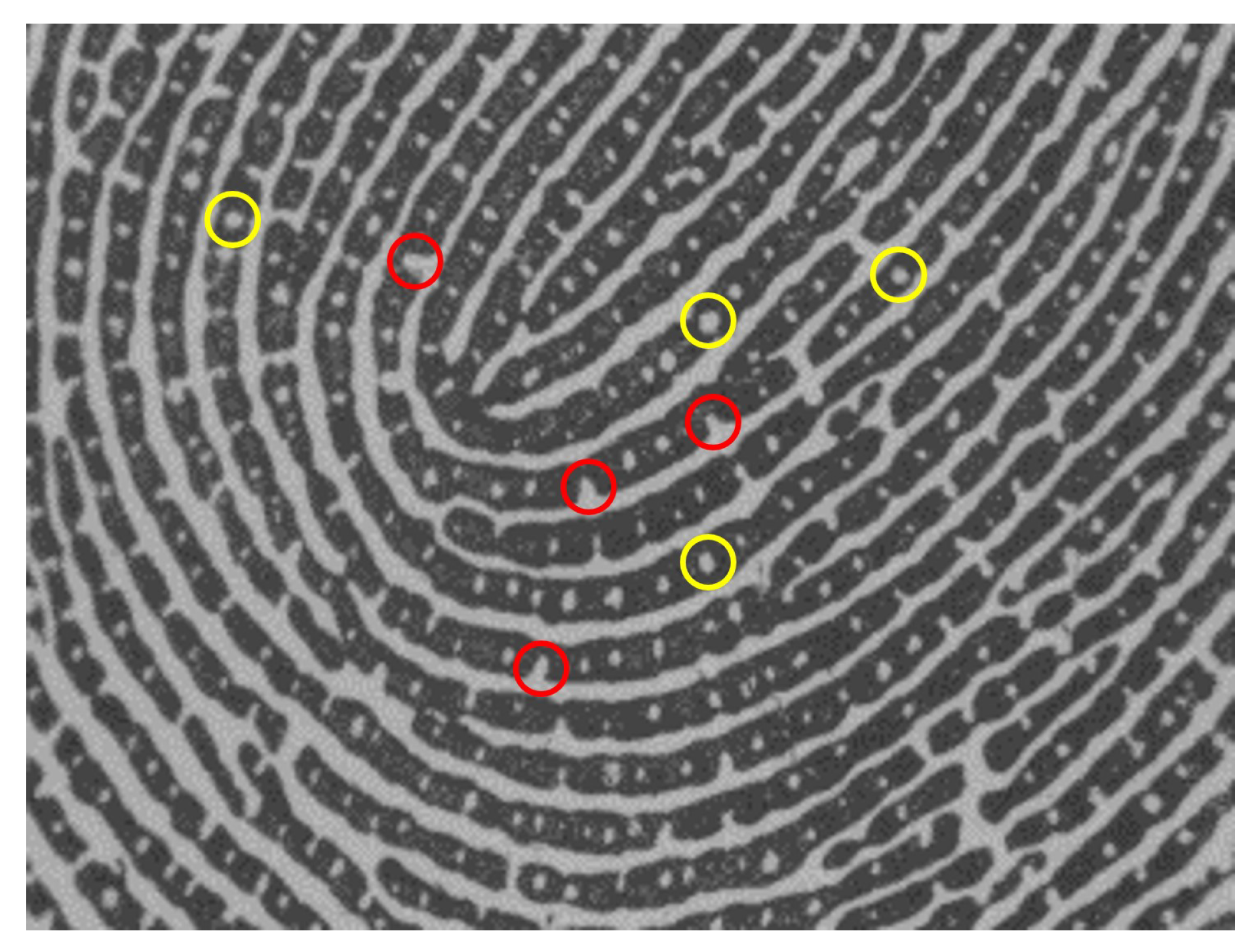 Symmetry 10 00175 g001