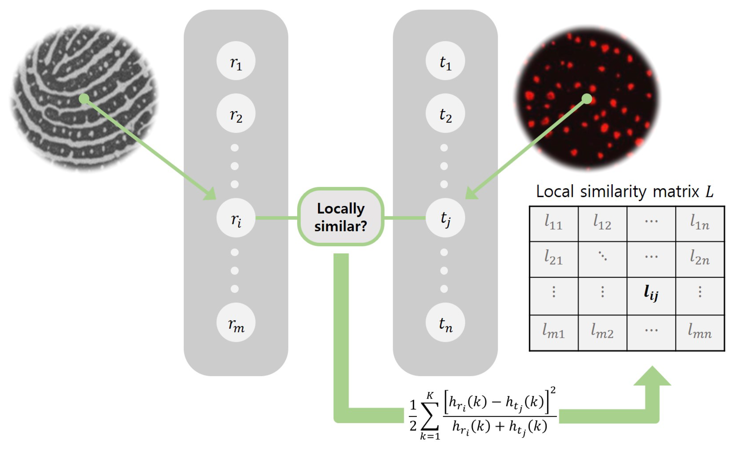 Symmetry 10 00175 g005