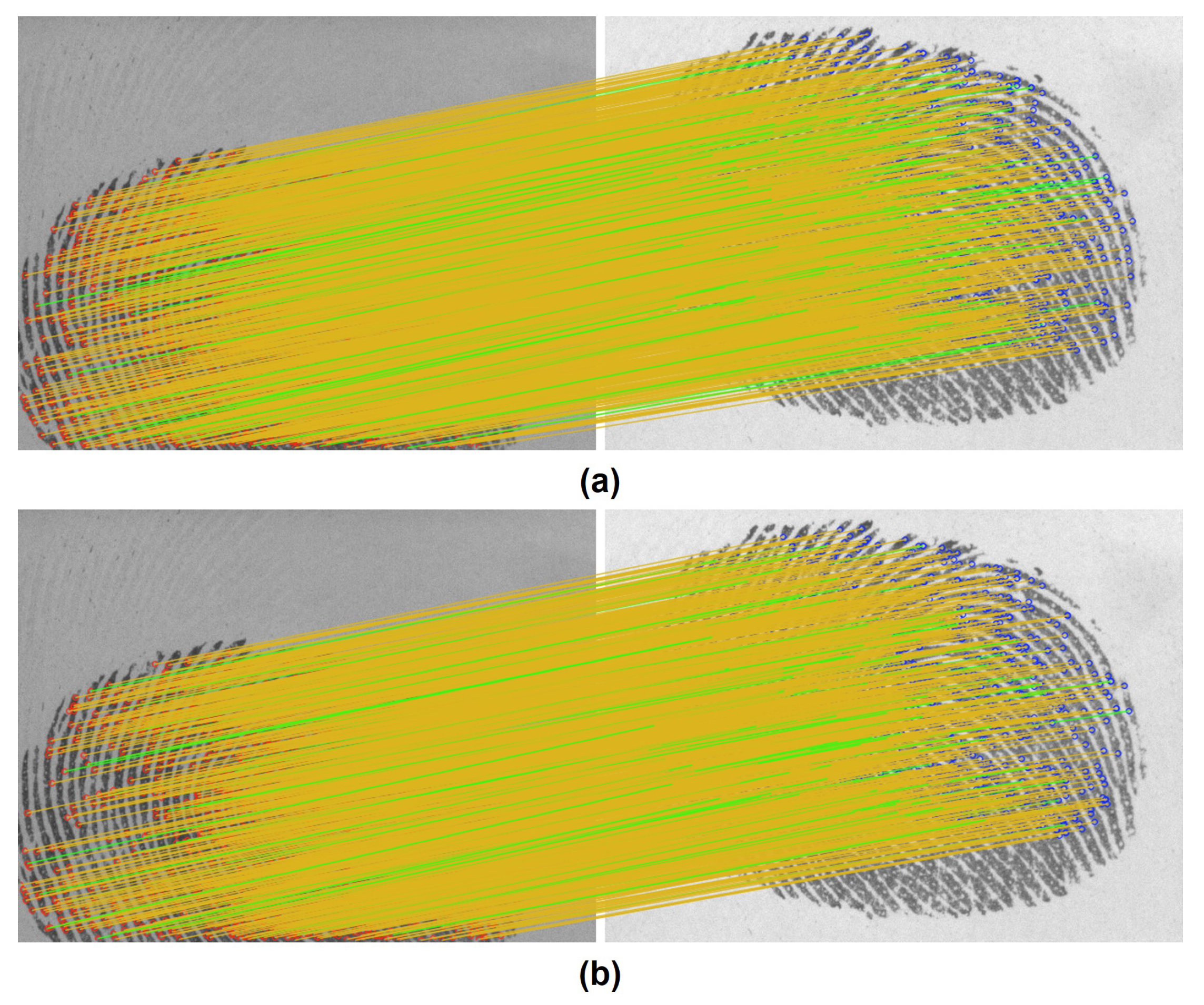 Symmetry 10 00175 g006