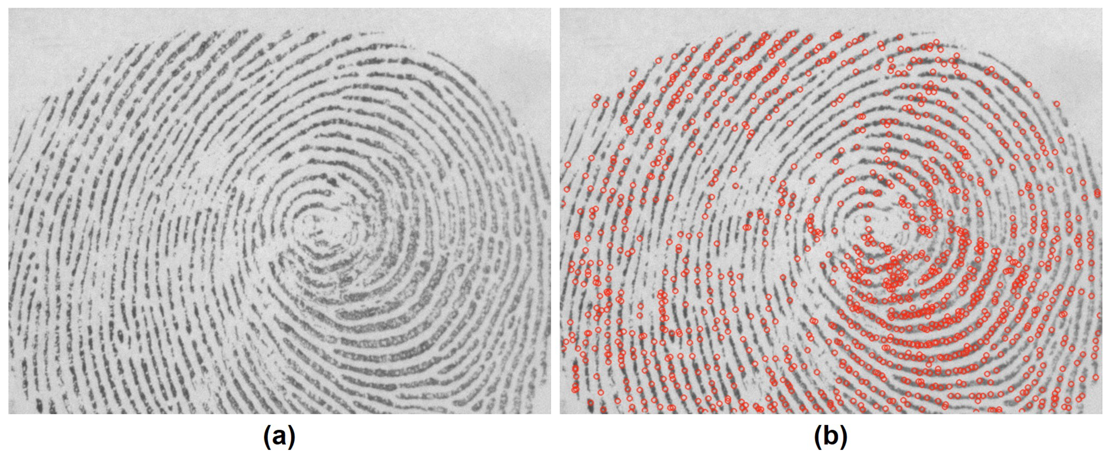 Symmetry 10 00175 g007