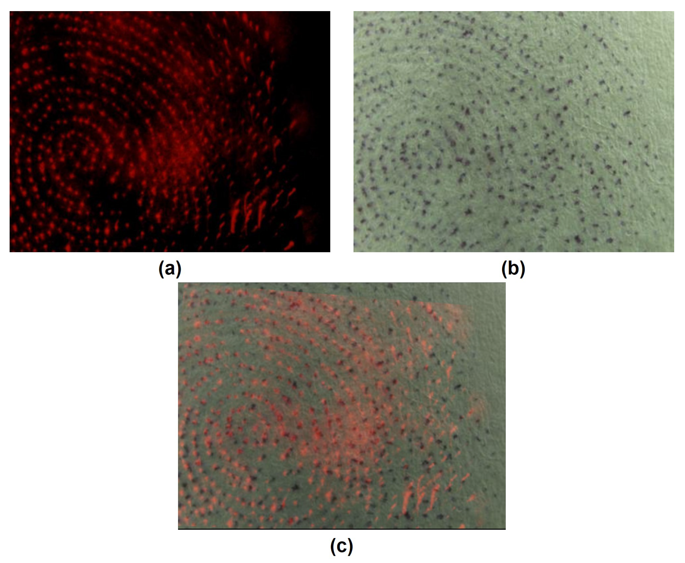 Symmetry 10 00175 g015