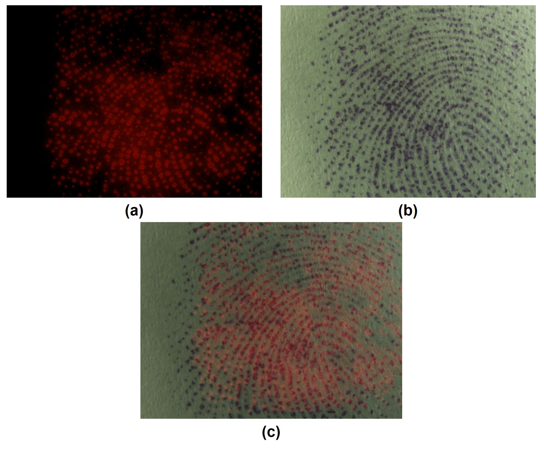 Symmetry 10 00175 g016