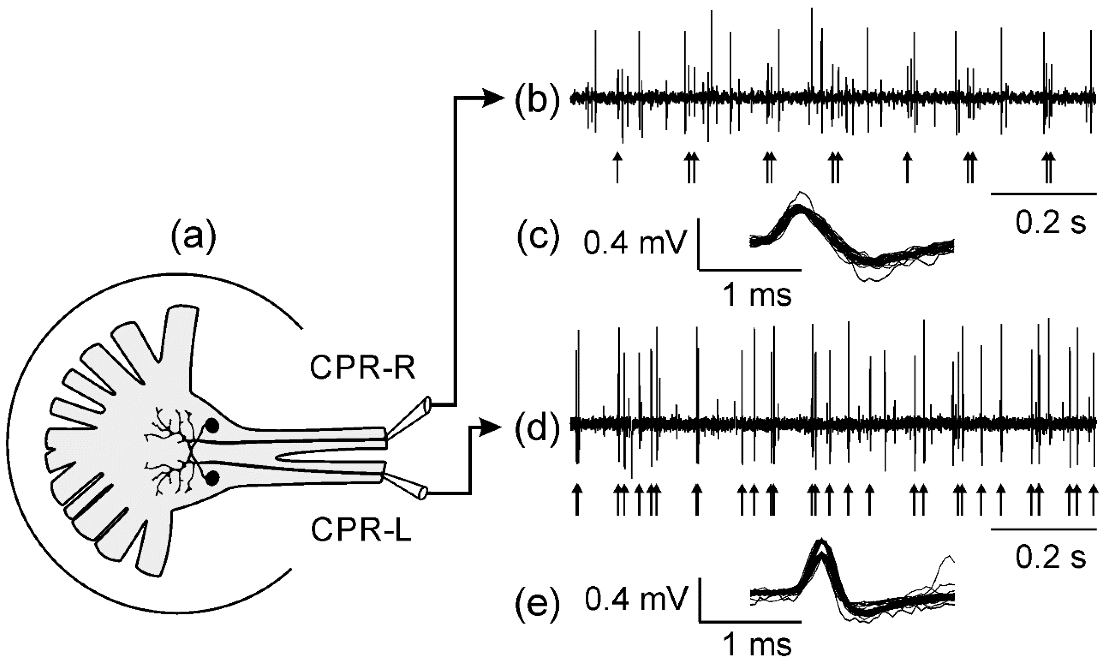 Symmetry 10 00389 g001