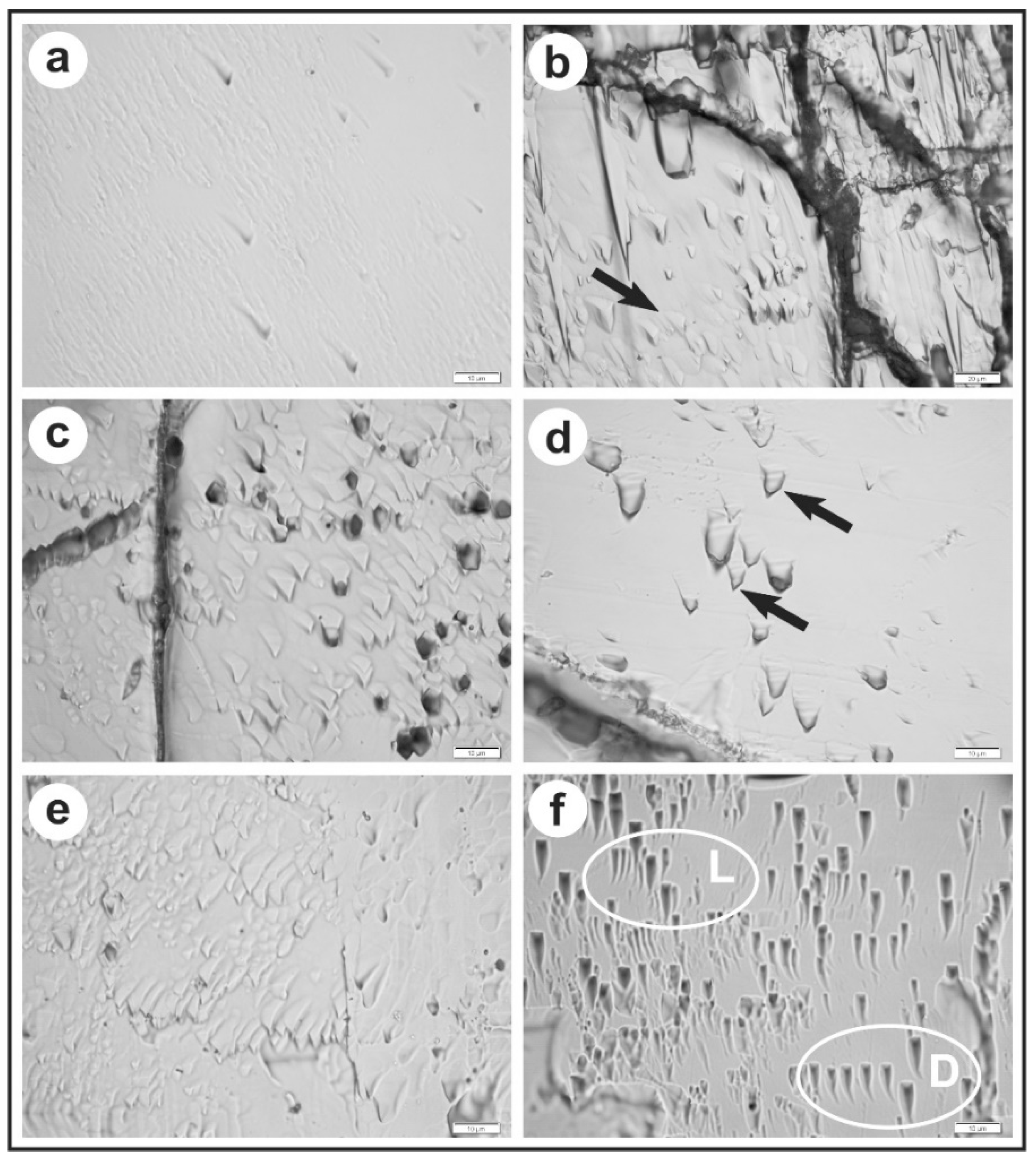 Symmetry 10 00410 g007