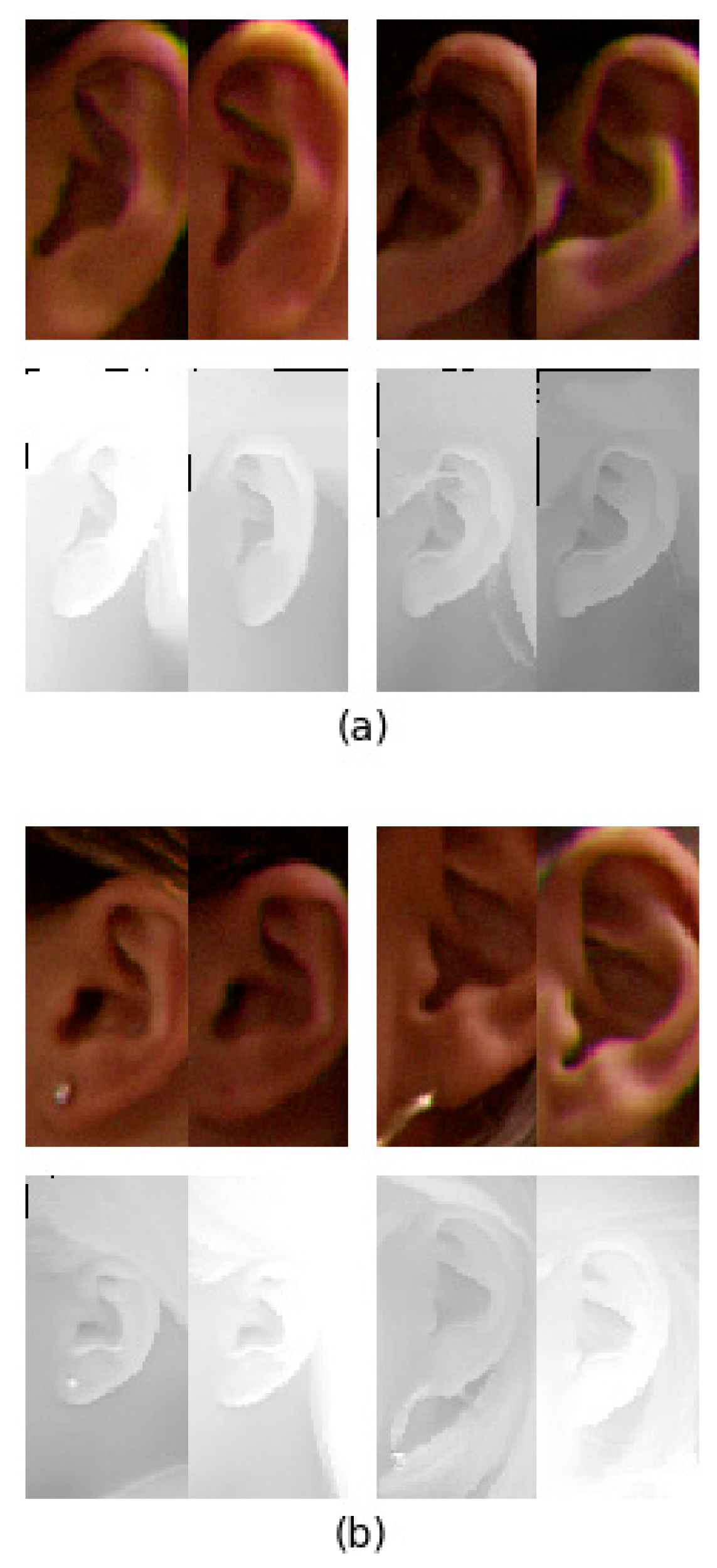 Symmetry 10 00565 g007
