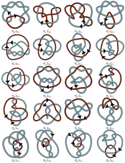 Symmetry 10 00604 g0a1c Symmetry 10 00604 g0a1c