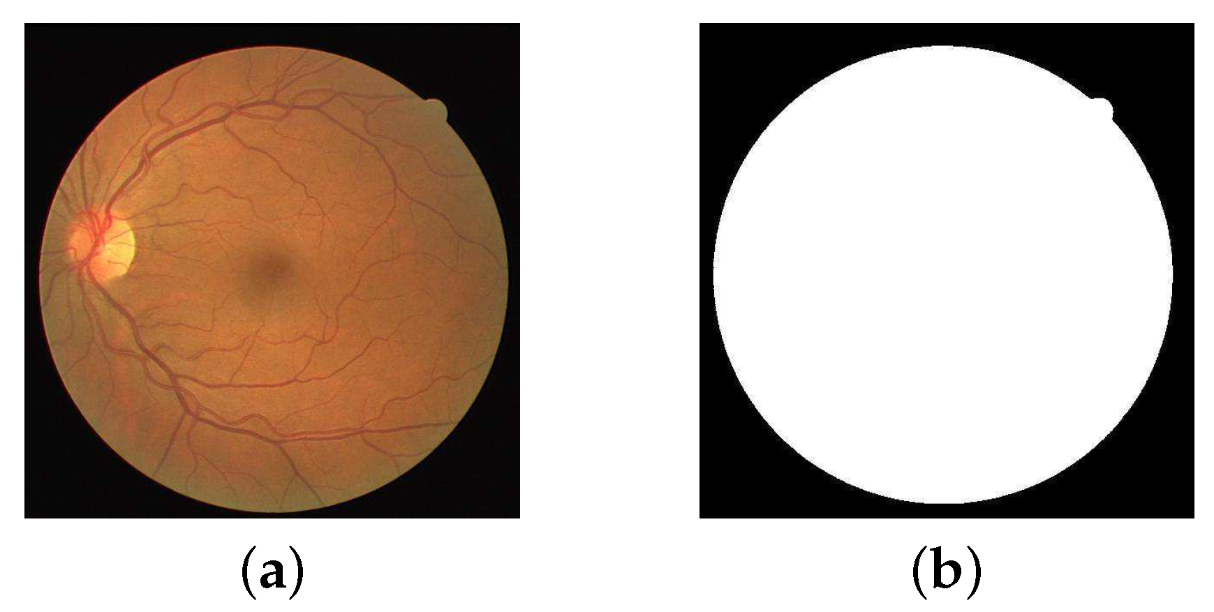 Symmetry 10 00607 g005