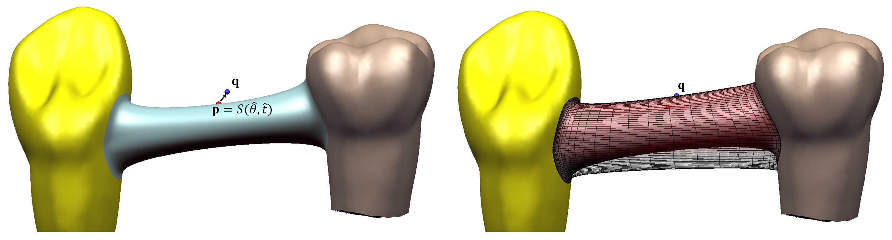 Symmetry 10 00620 g011