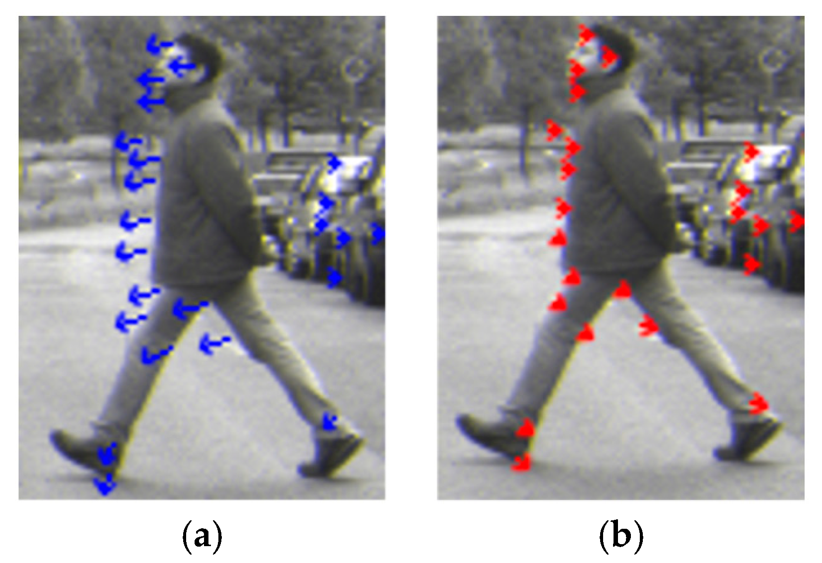 Symmetry 11 00034 g009