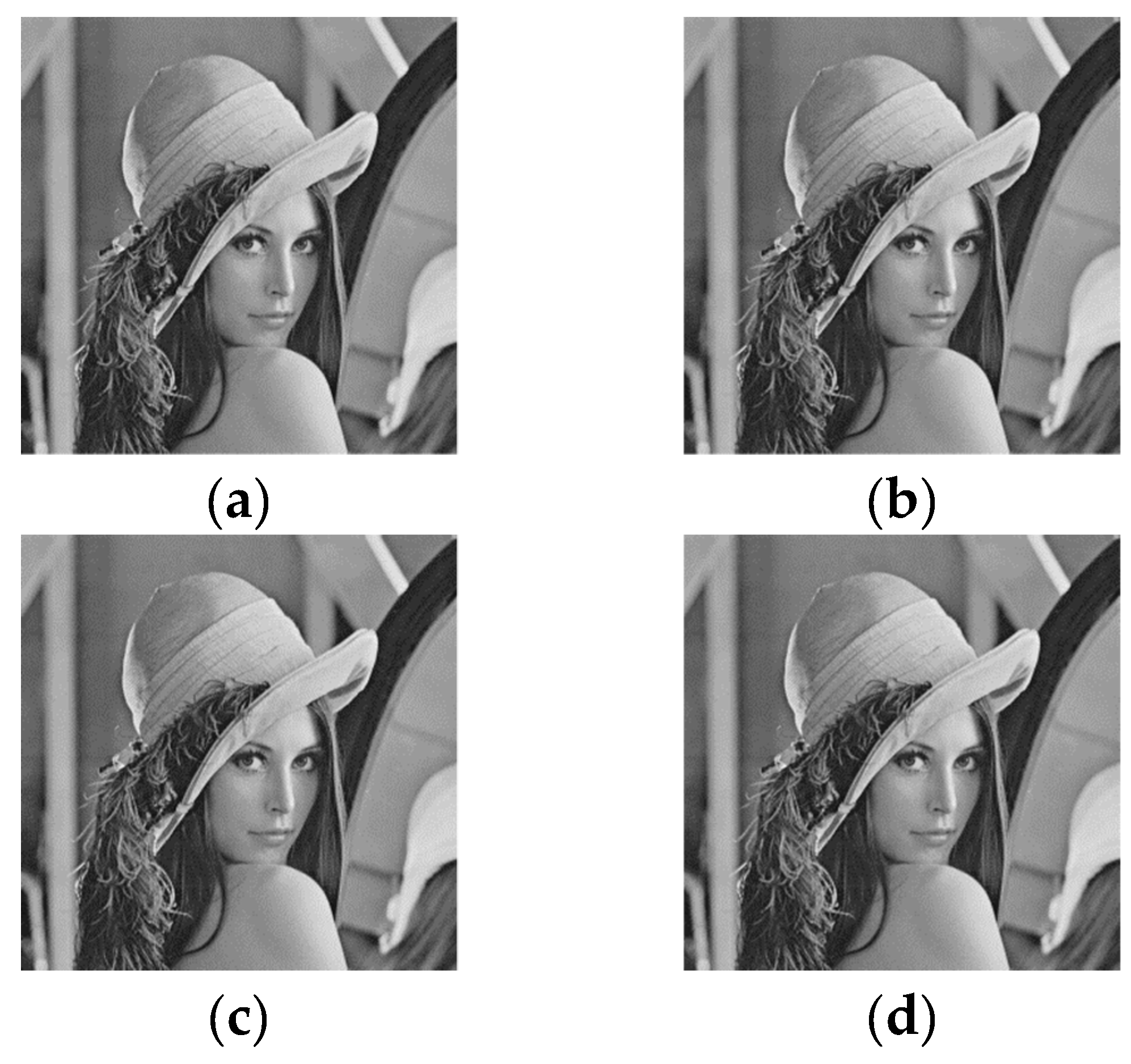 Symmetry 11 00079 g011