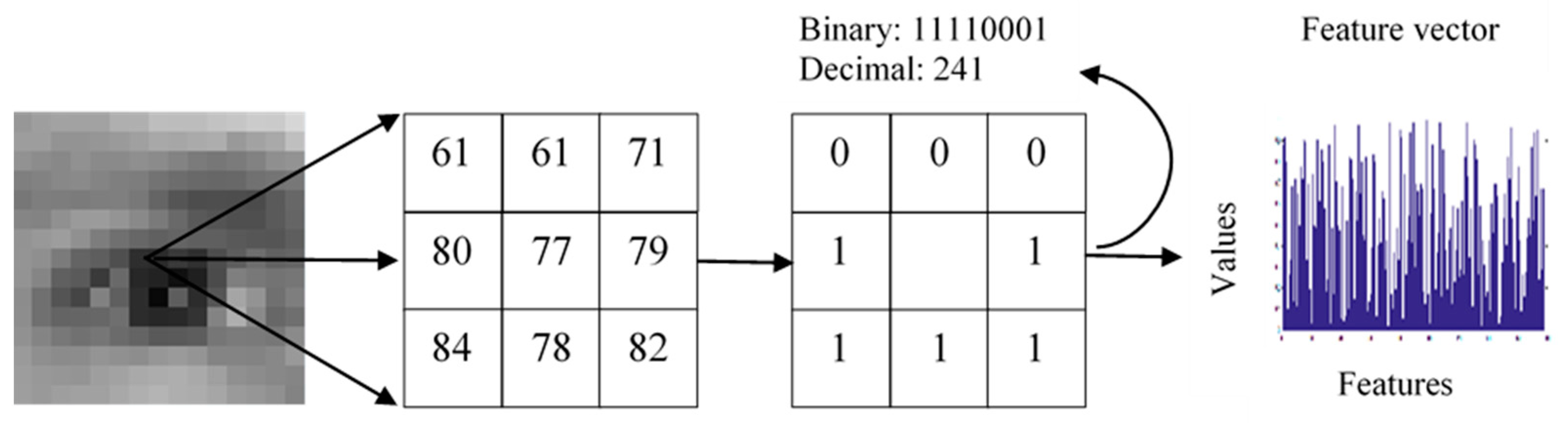 Symmetry 11 00157 g005
