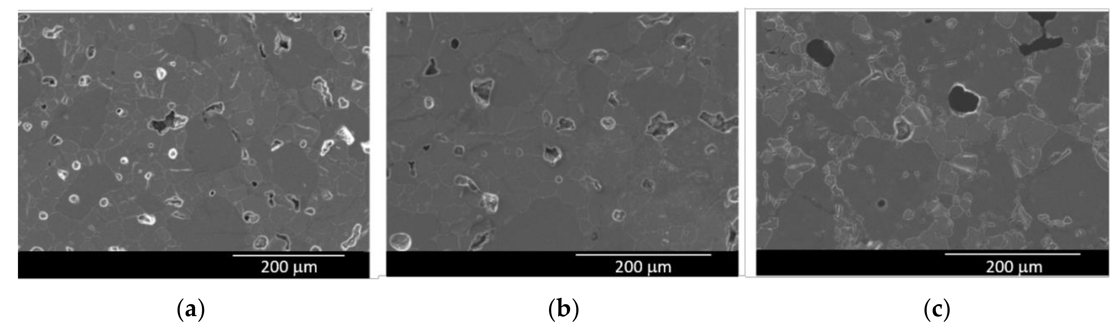 Symmetry 11 00355 g003