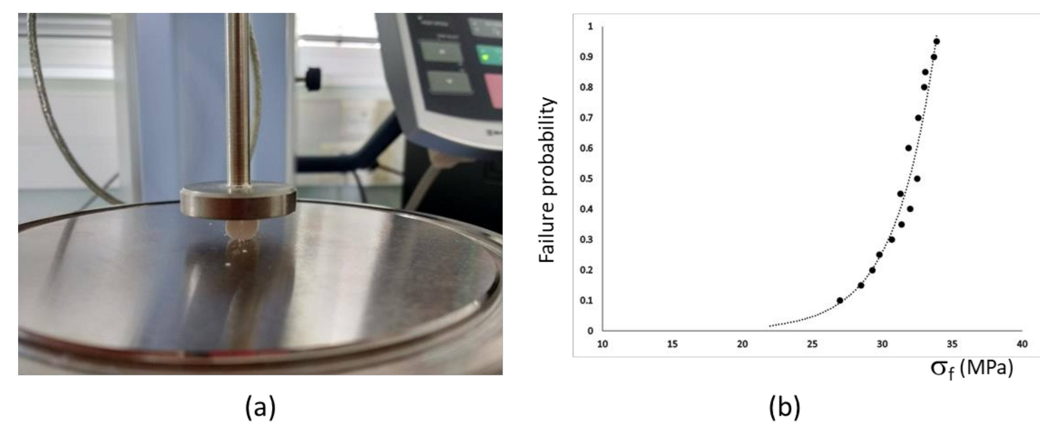 Symmetry 11 00355 g006